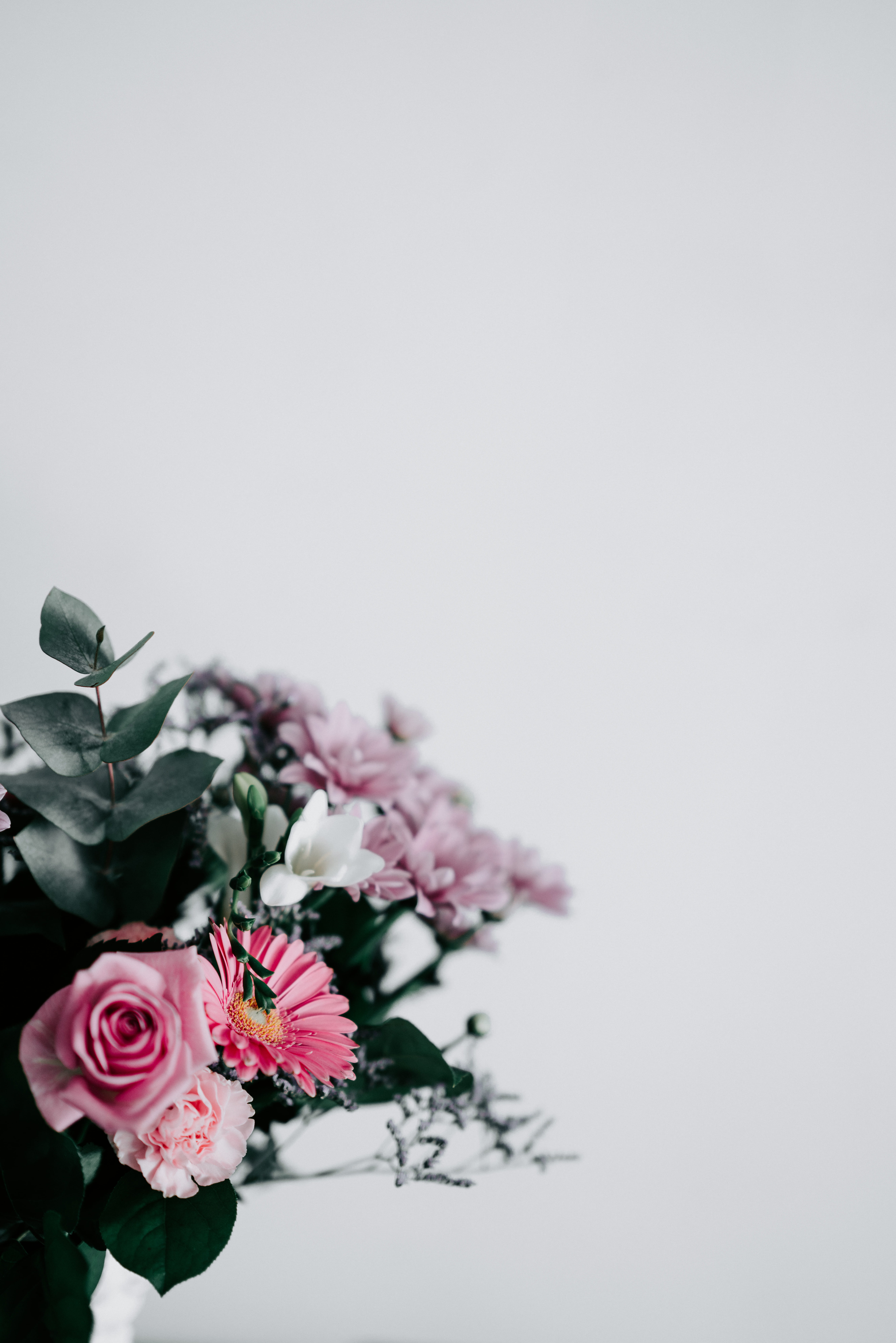 nature, floral, color, arrangement, white, flower, colour, 8K, pink, close-up, negative space, minimal, rose - Flower, blank space, bouquet, plant, wedding, Phone HD Wallpaper