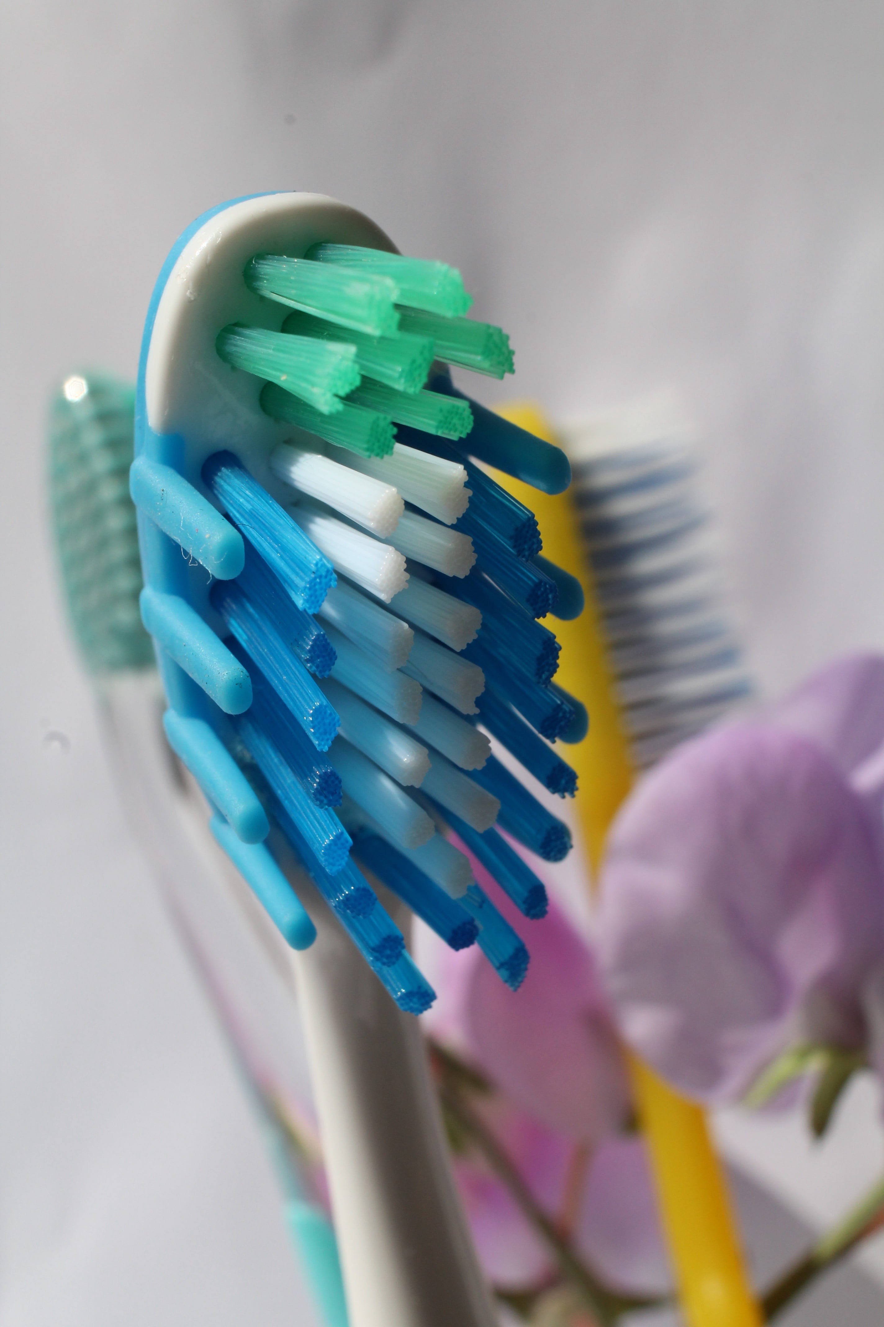 stack, oral, close-up, holding, still life, hygiene, macro, toothbrush, bristles, plastic, blue, high angle view, freshness, multi colored, table, no people, Phone HD Wallpaper