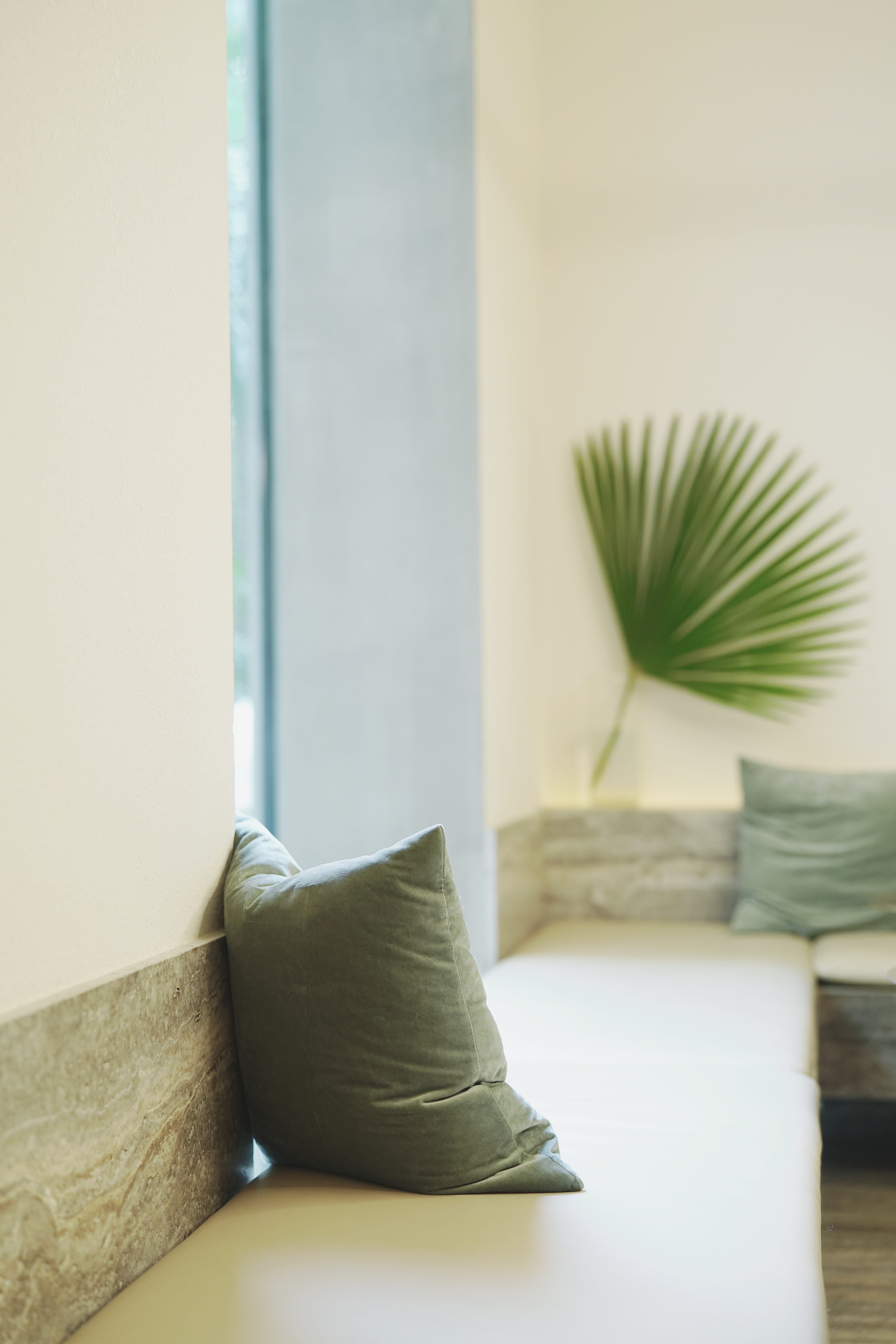 nature, table, stuffed, pillow, green color, 8K, cushion, home interior, still life, sofa, softness, window, throw, plant, wall - building feature, no people, Phone HD Wallpaper