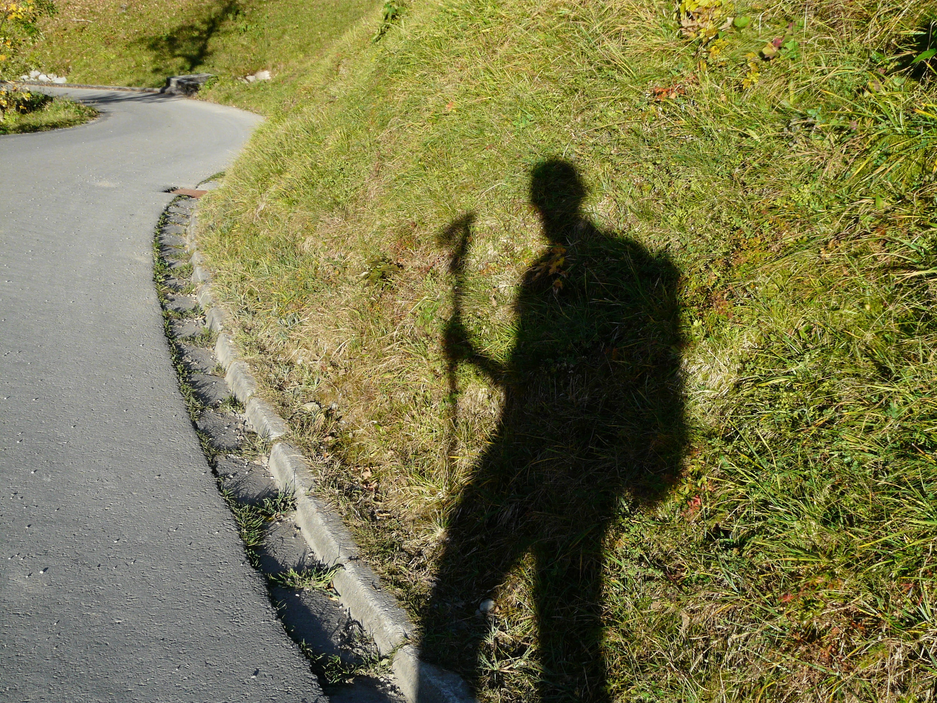 green color, focus on shadow, 2K, footpath, photographer, Hispanic, Wanderer, Hiking, shadow play, cinematographer, person, plant, men, leisure activity, HD Wallpaper