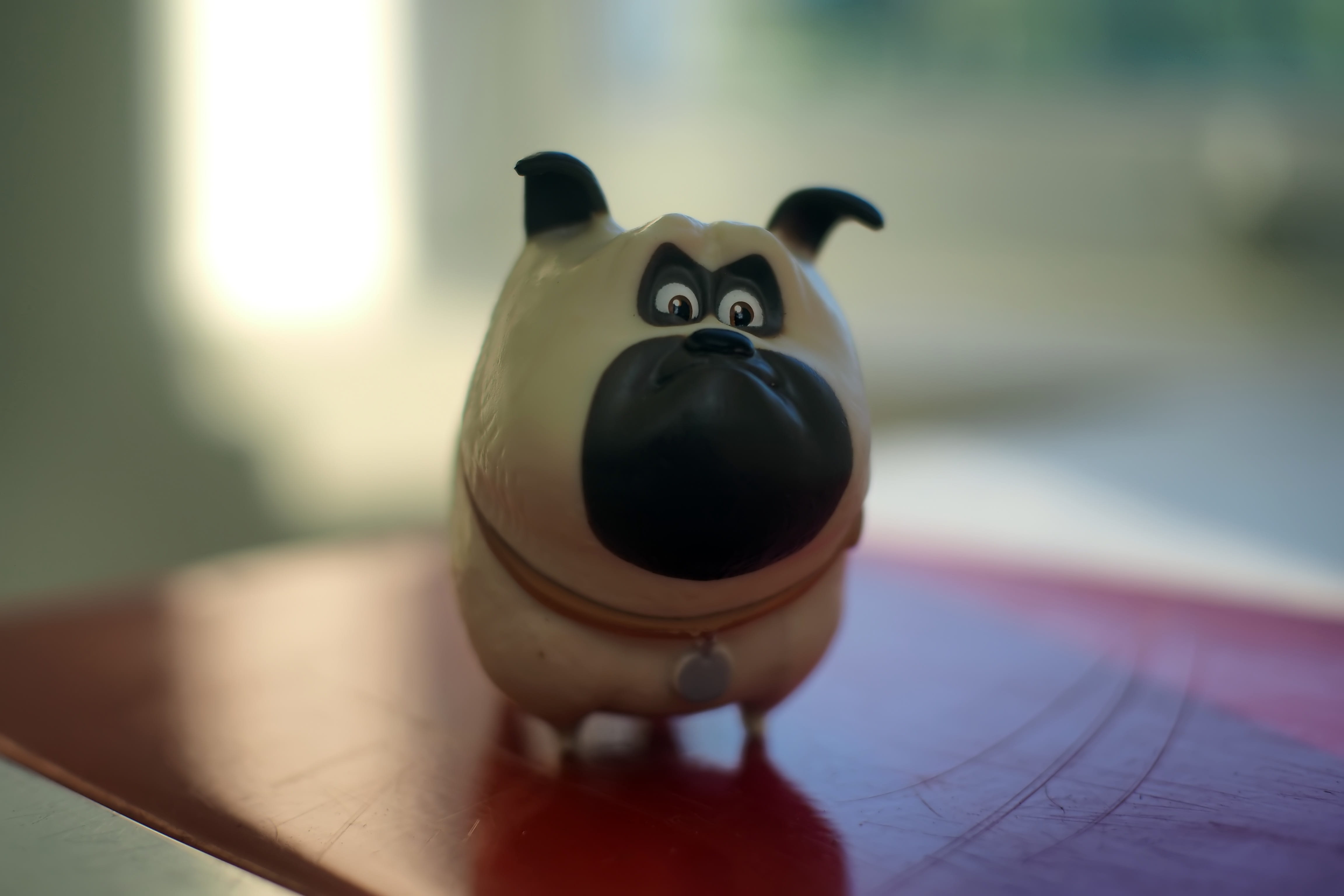 pets, human hand, anime, day, small, indoors, toy, adorable, life, representation, cute, animal themes, human body part, focus on foreground, dog, hand, HD Wallpaper