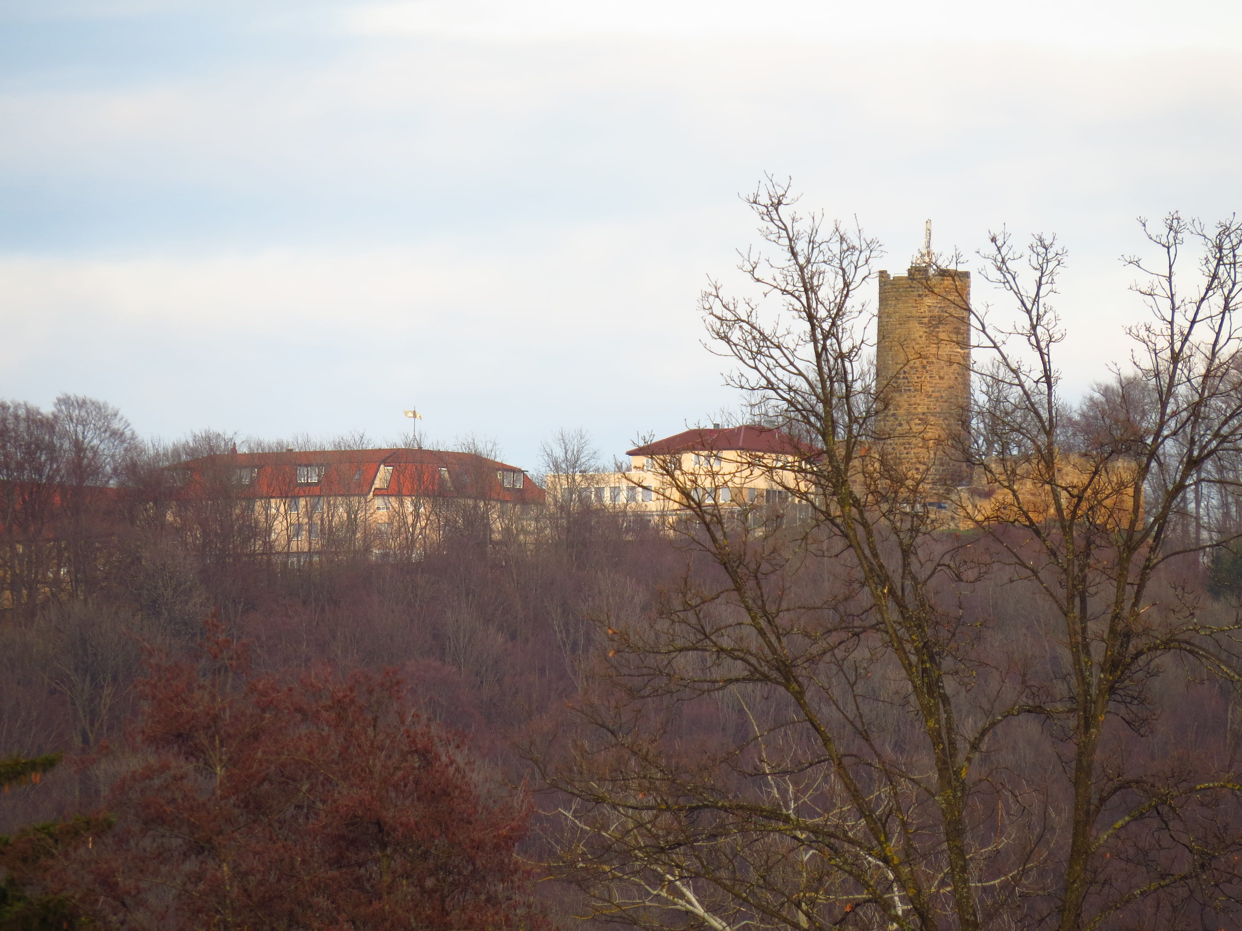 house of hohenstaufen, plant, height burg, fils valley, tower, baden württemberg, Castle, Burg, built structure, outlook, building exterior, bare tree, HD Wallpaper