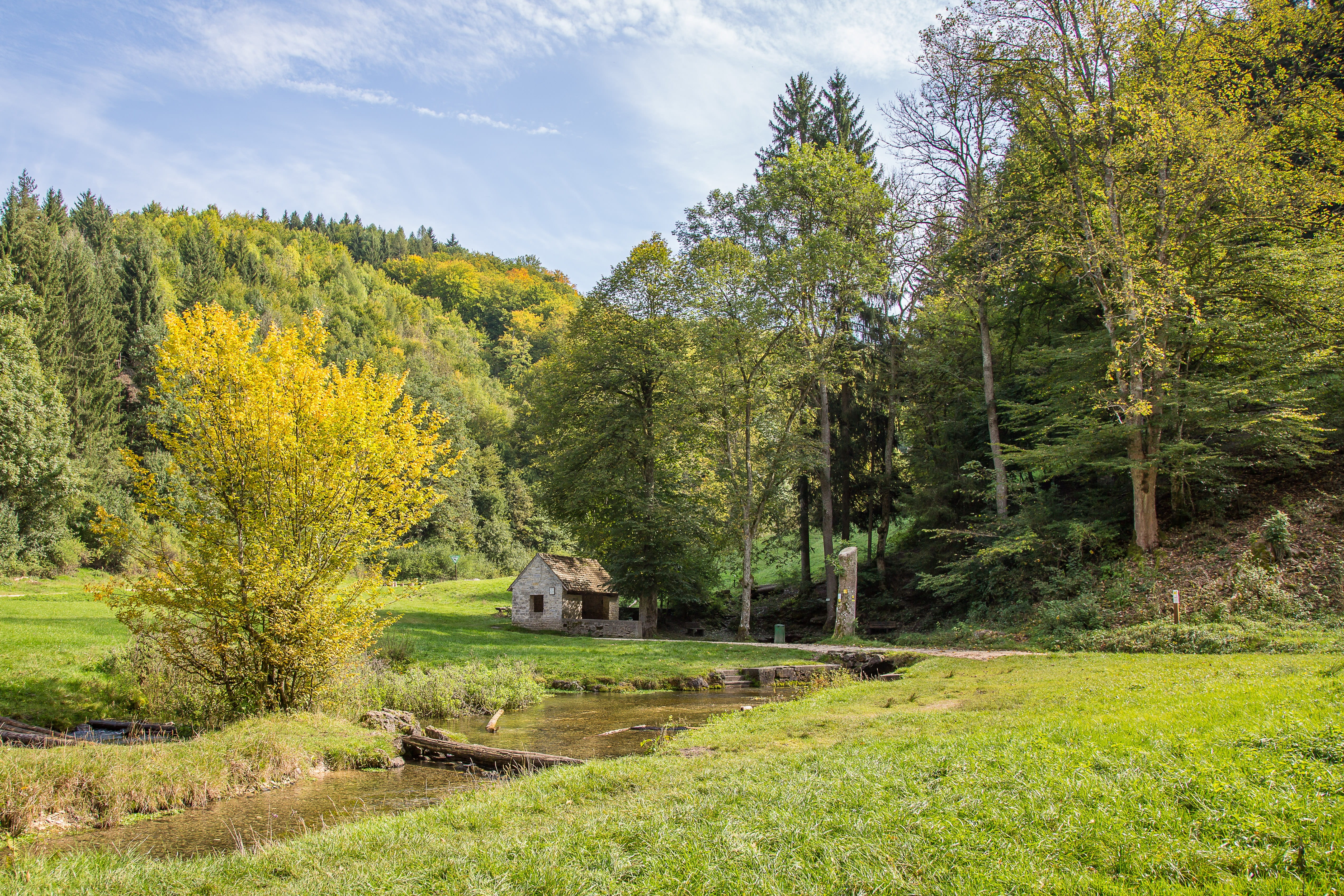 scenics - nature, nature, source, day, non-urban scene, autumn, forest, sky, 4K, growth, landscape, water, tree, green color, beauty in nature, filsursprung, HD Wallpaper