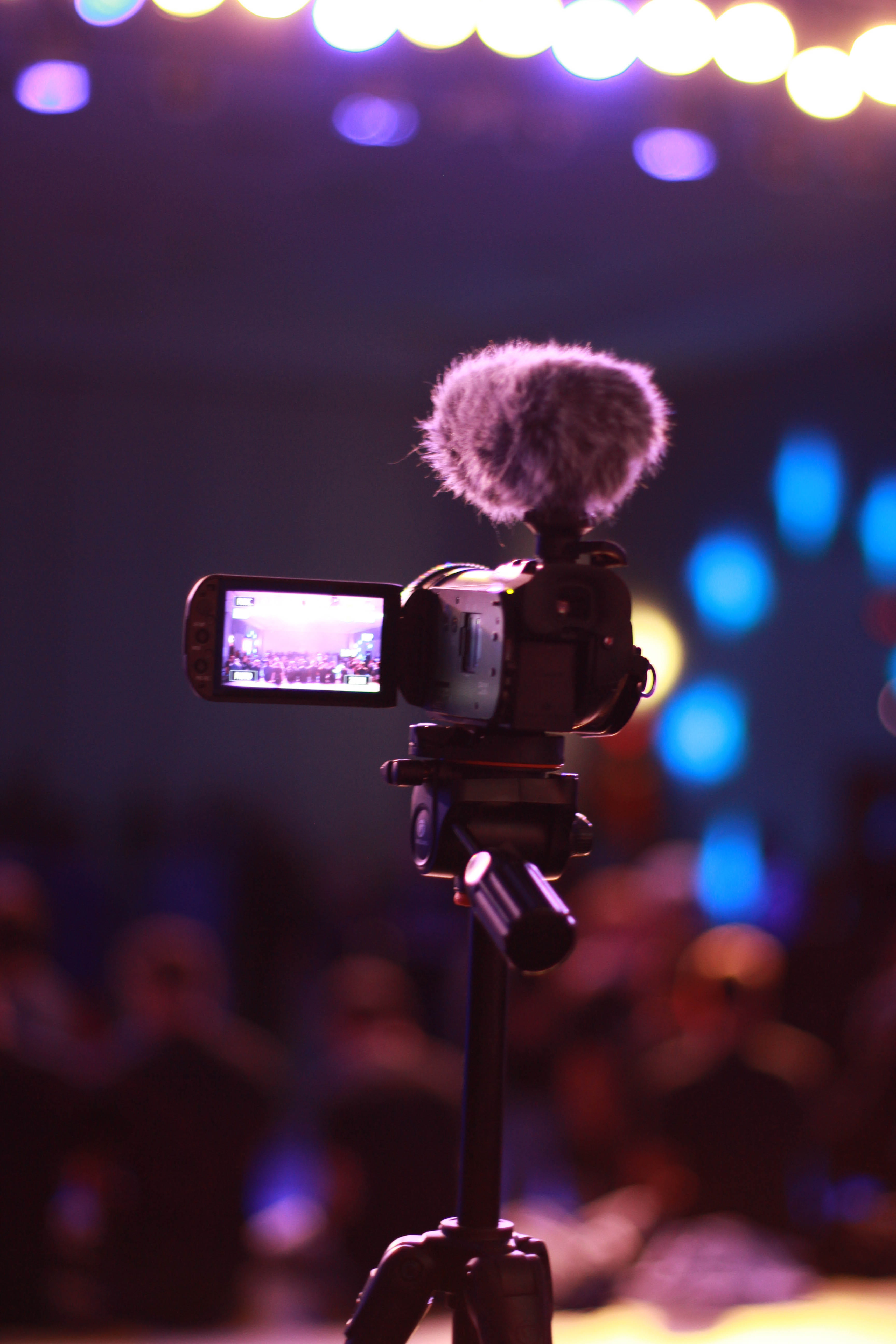 tripod, technology, digital camera, vegetation, stage - performance space, activity, photo, microphone, outdoors, plant, close-up, incidental people, concert, Phone HD Wallpaper