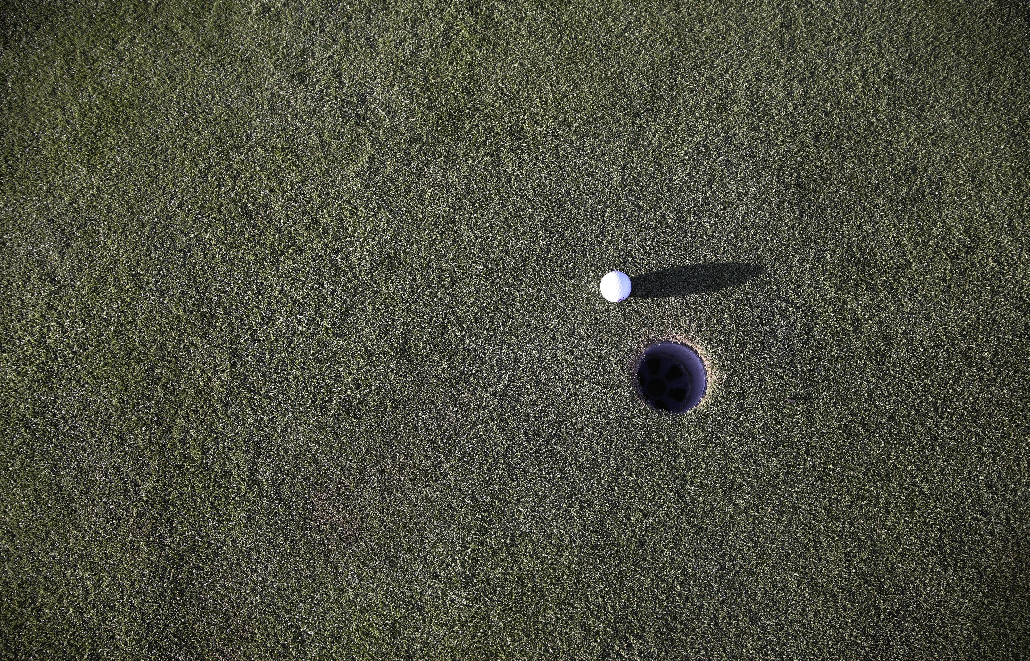 leisure activity, high angle view, green, nature, golf ball, directly above, indoors, day, rush, land, near, outdoors, single object, putting-green, space, HD Wallpaper