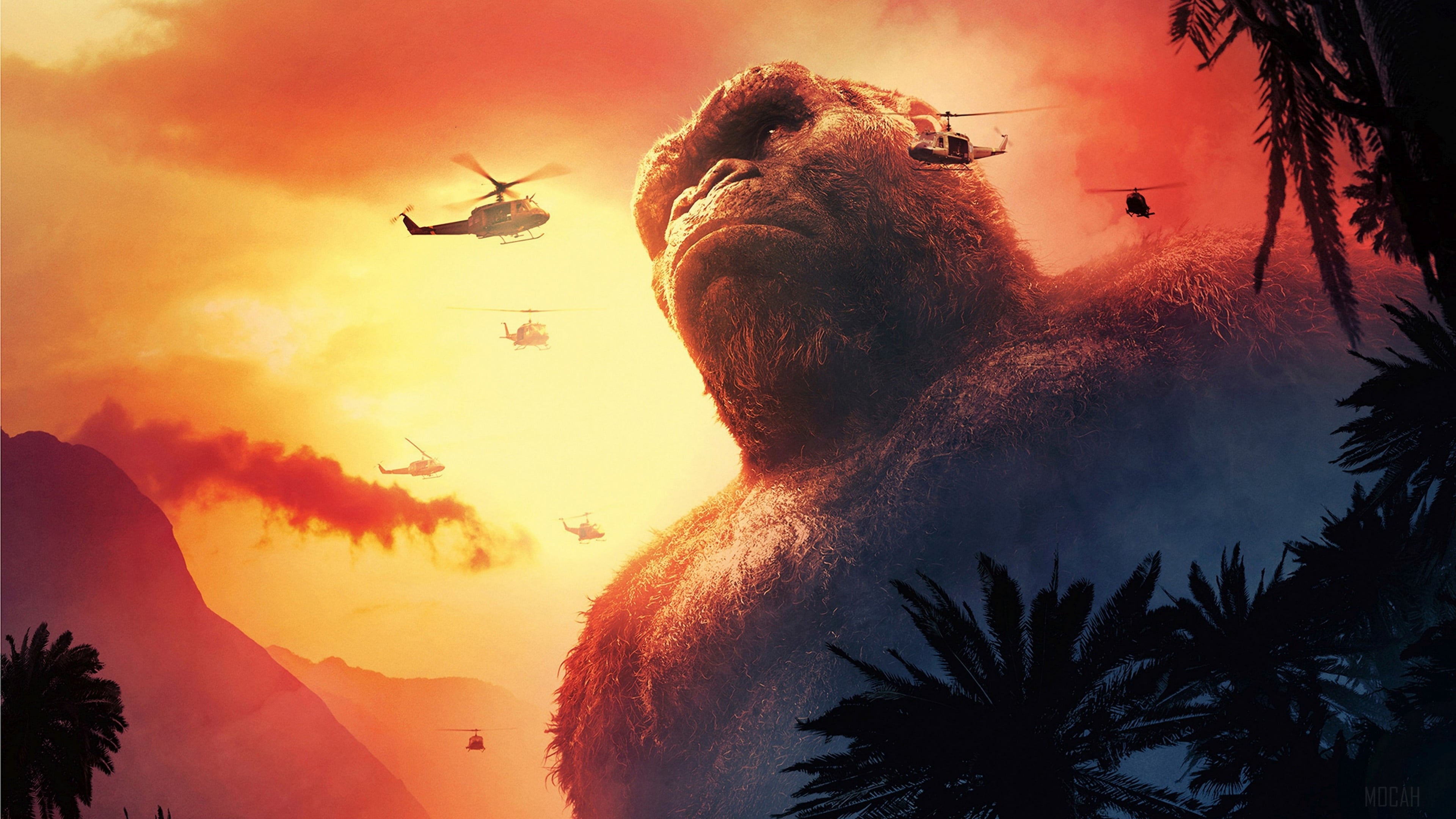 gorillas, 4K, movies, King Kong, HD Wallpaper