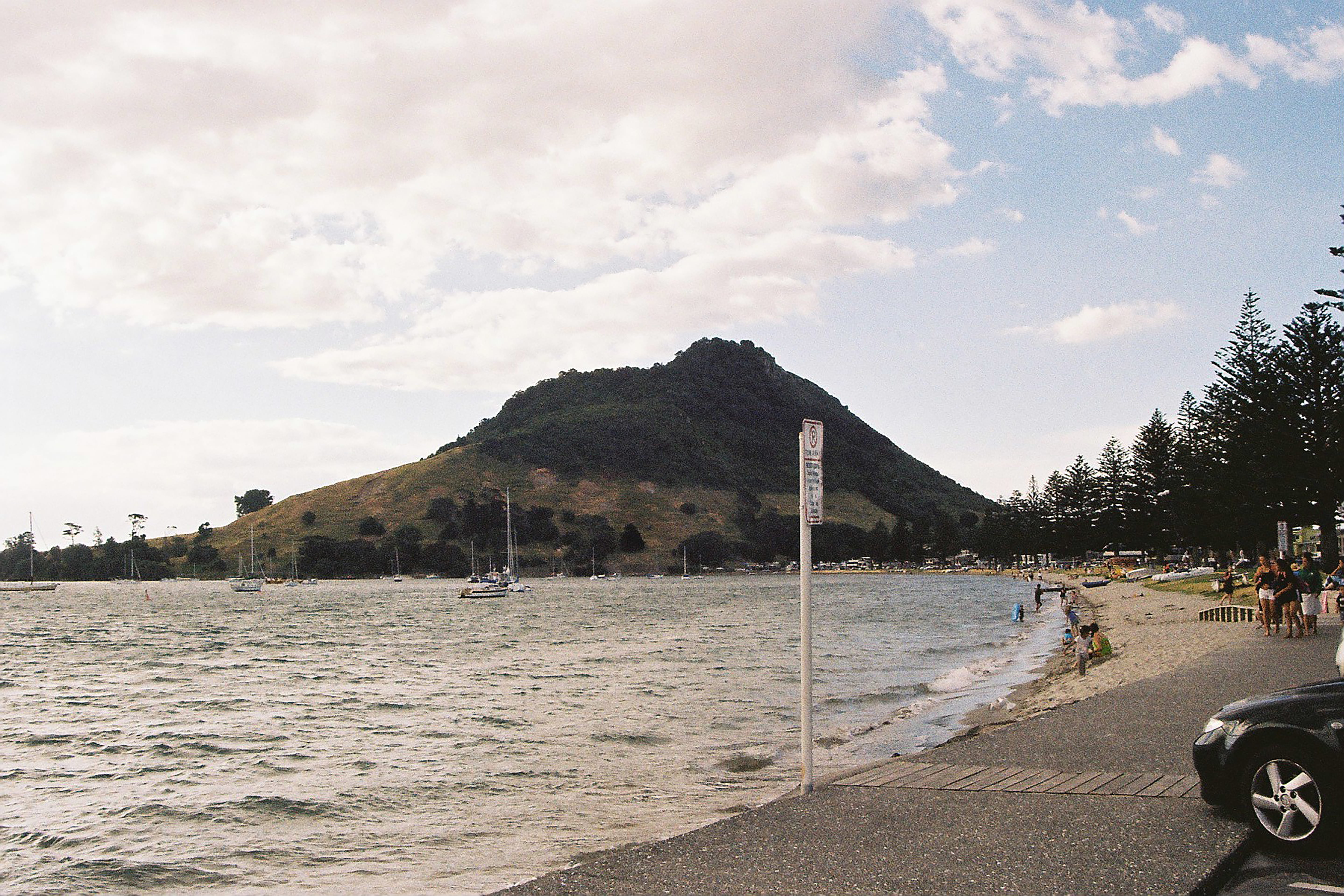 cloud - sky, tree, 5K, day, 35mm, new zealand, mt., sky, mount maunganui, land, tauranga, mountain, beach, maunganui, nature, scenics - nature, water, HD Wallpaper