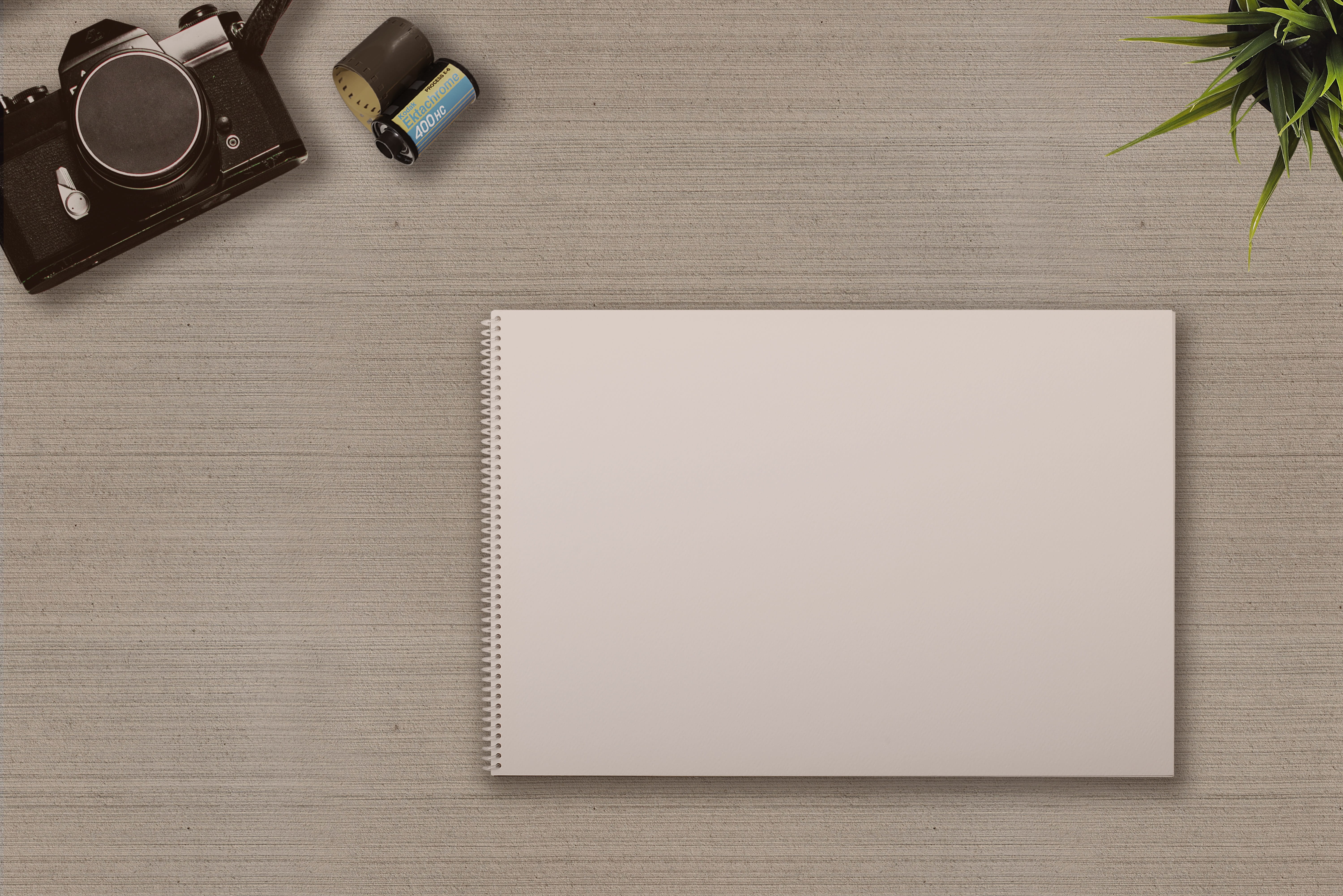 old, deco, retro, notes, blank, no people, near, writing pad, dslr, table, page, scrapbook, empty, pen, plant, white, black, vintage, notebook, book, copy space, HD Wallpaper
