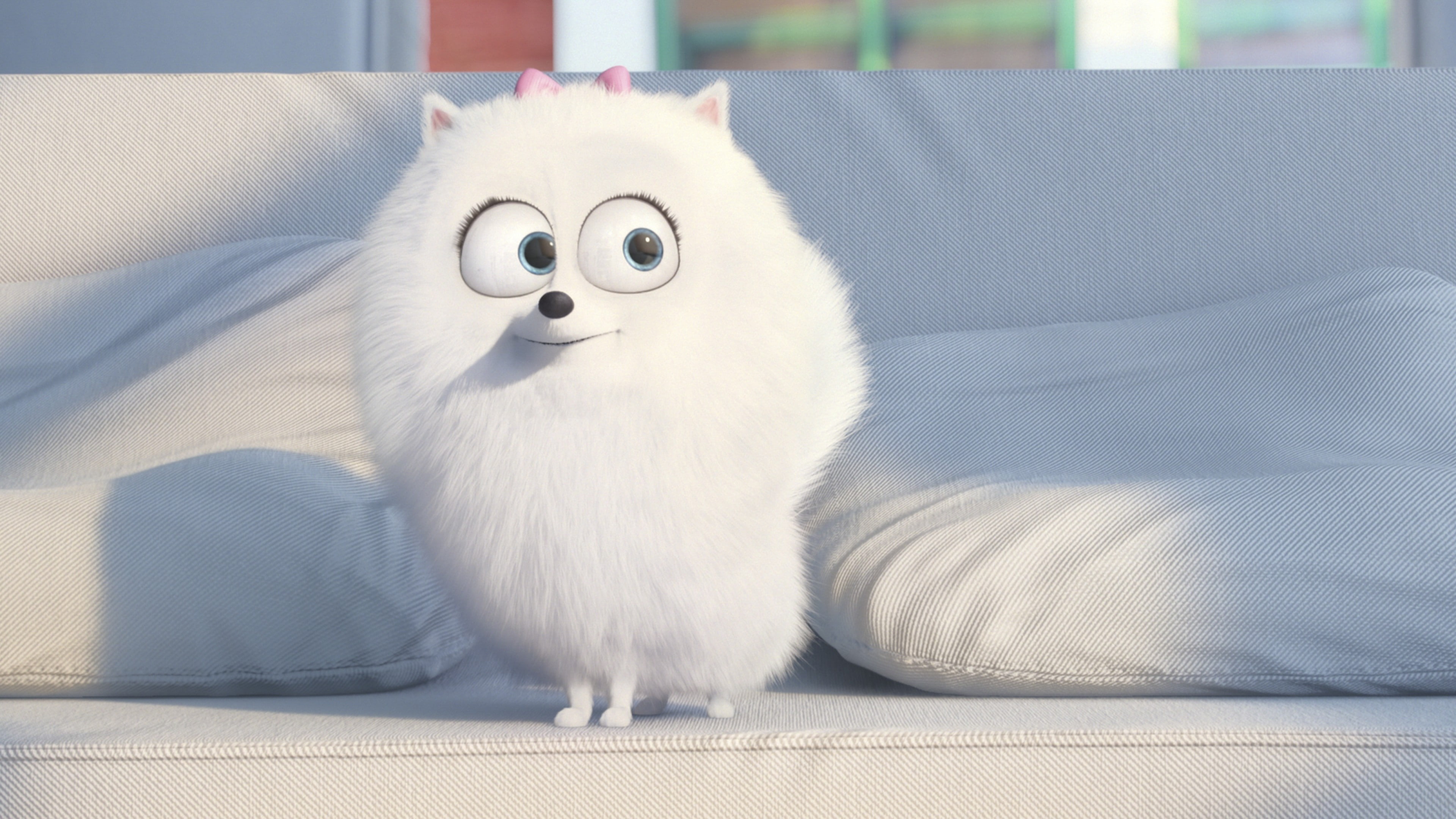 Best Animation Movies of 2015, The Secret Life of Pets, 4K, cartoon, HD Wallpaper