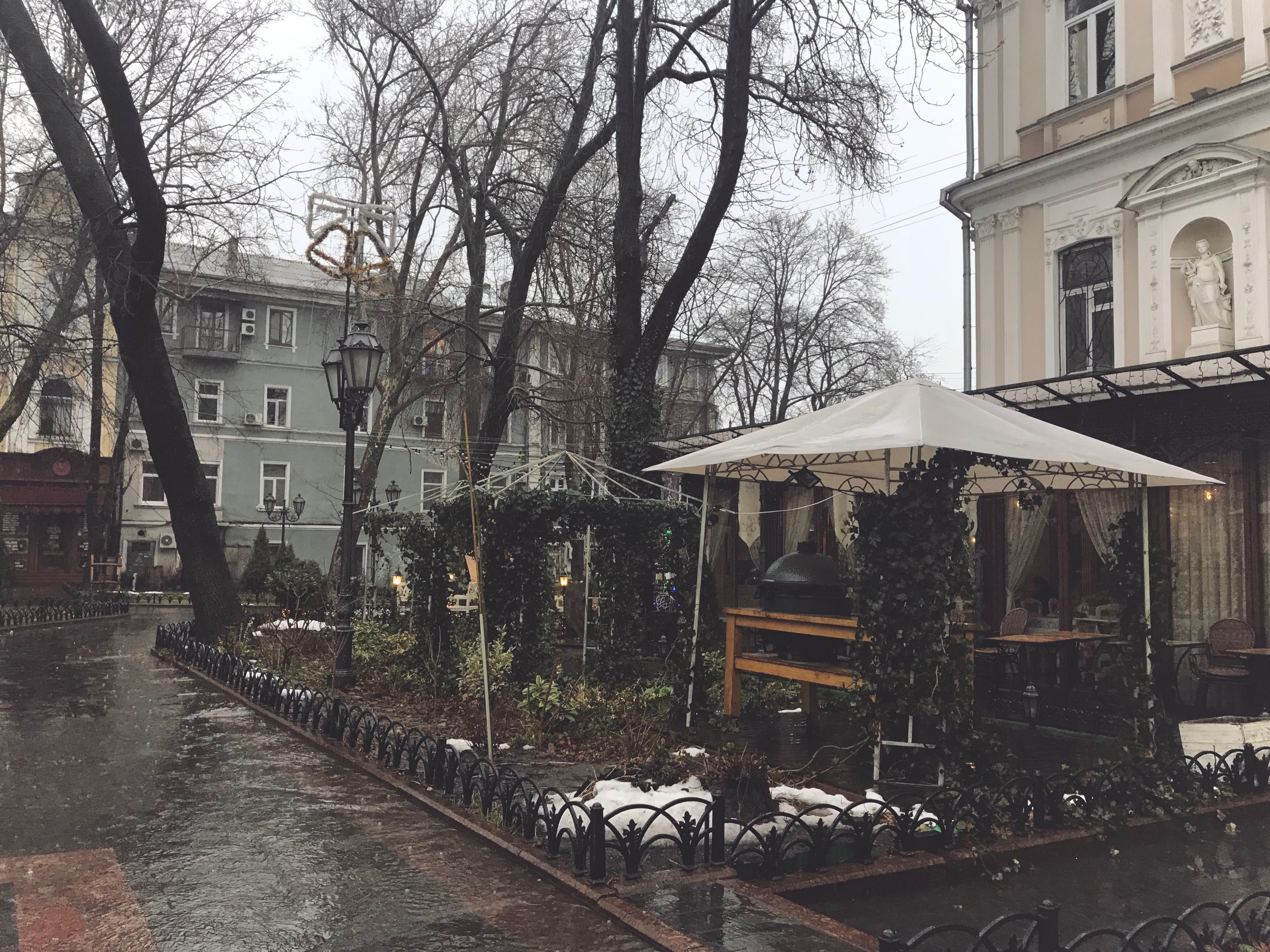 street, nature, ukraine, plants, 4K, no people, built structure, statue, window, residential district, day, architecture, outdoors, park, building exterior, HD Wallpaper