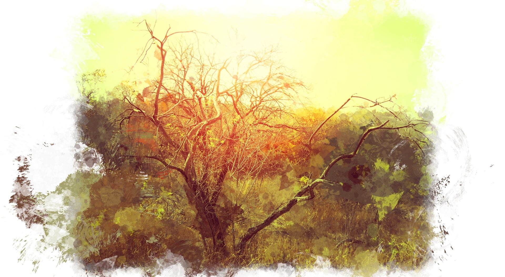 plant, reflection, change, art, 1080P, branch, digital composite, yellow, tranquility, winter, Aero, bushveld, outdoors, bare tree, tree, orange color, HD Wallpaper