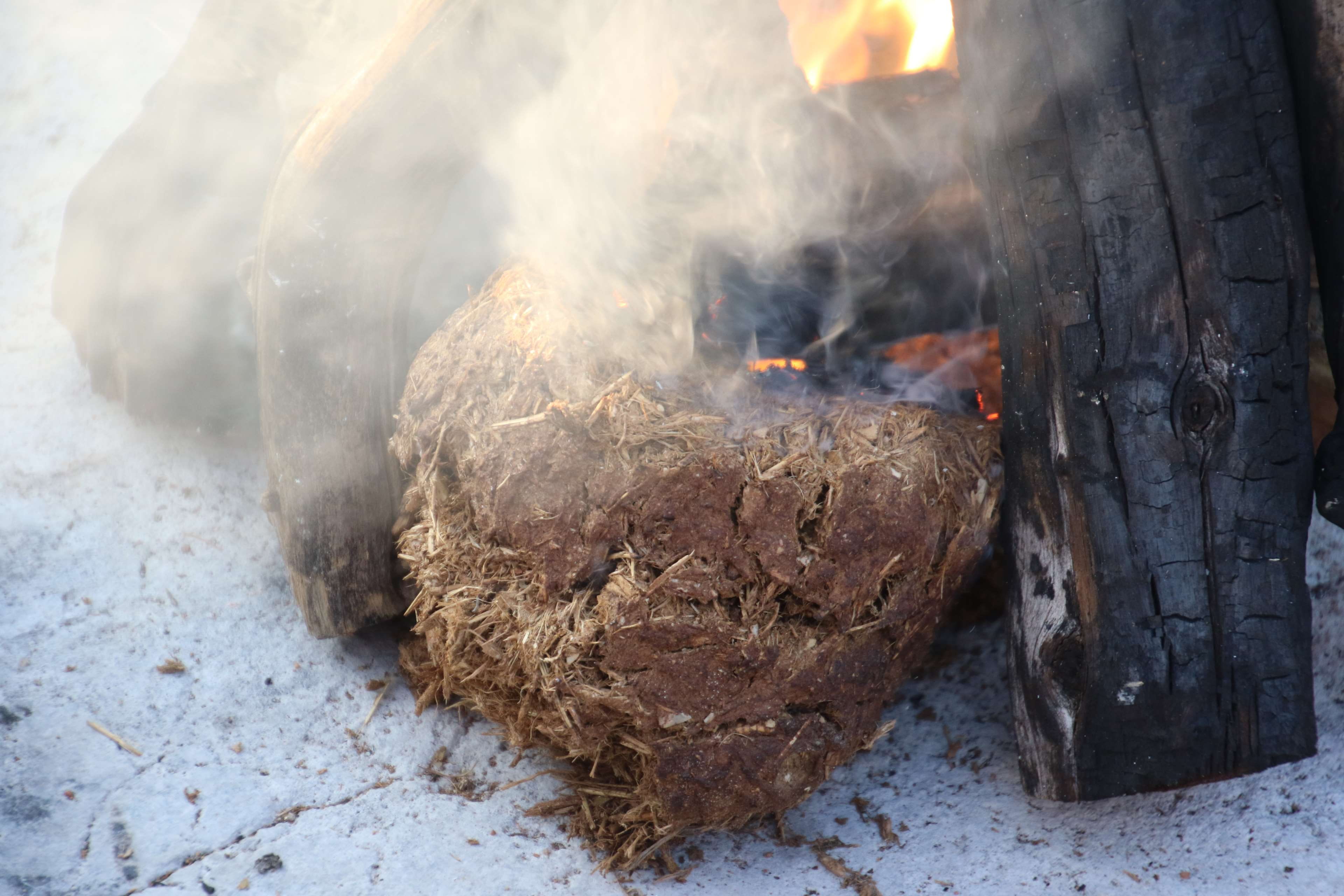 wellbeing, wild, 4K, elephant dung, burning, focus on foreground, freshness, nature, outdoors, fire, bushveld, steam, heat - temperature, fire - natural phenomenon, HD Wallpaper