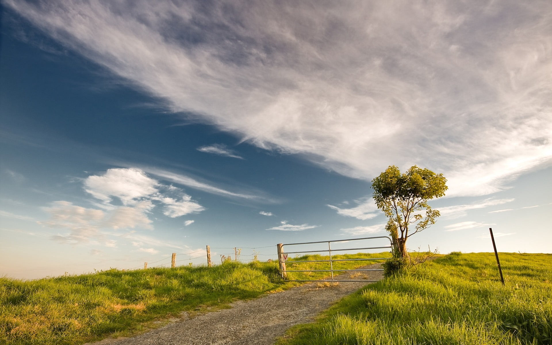 sunlight, the way forward, tranquil Scene, tree, bush, scenics - nature, cloudscape, field, environment, footpath, landscaped, scenics, protection, tranquility, HD Wallpaper