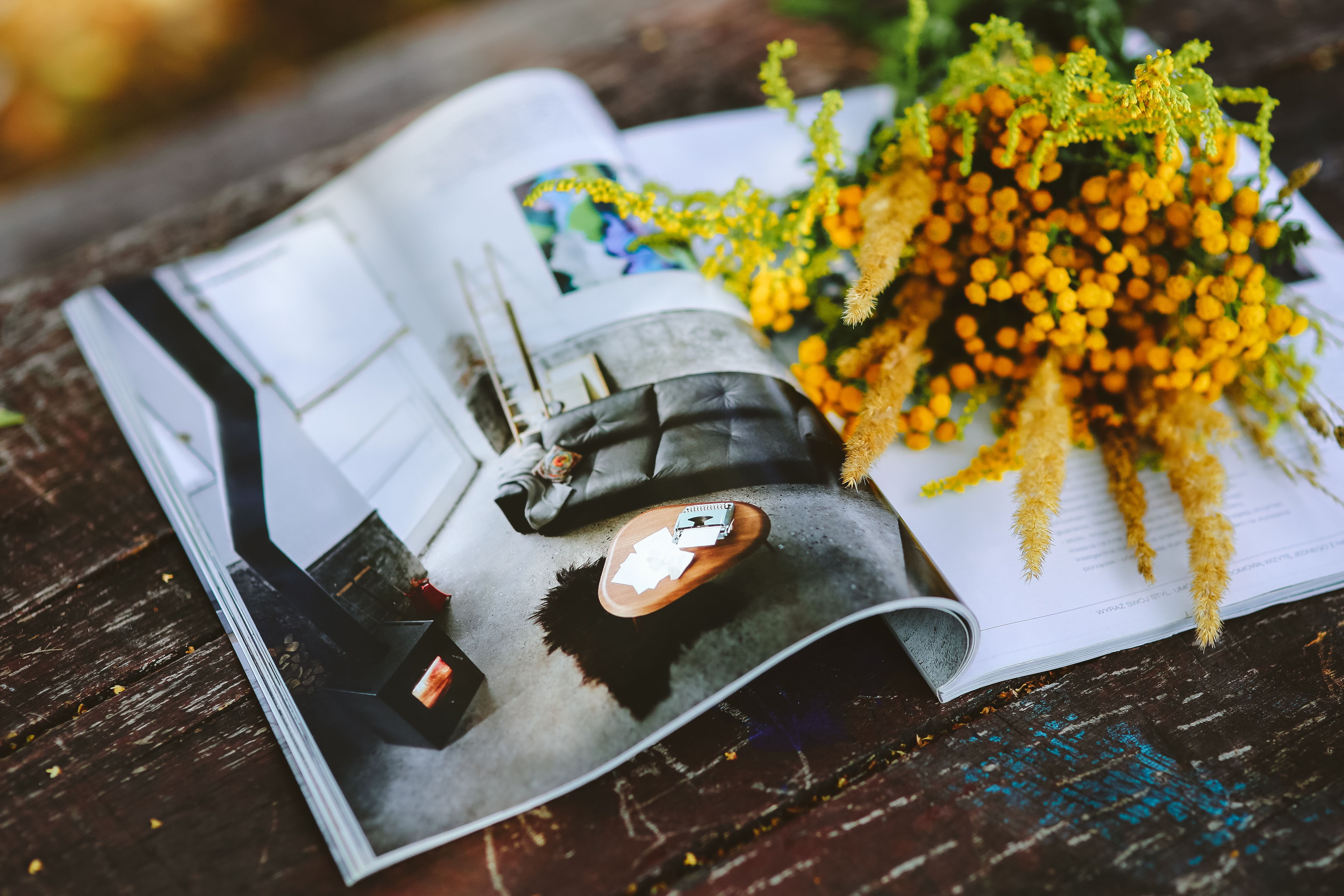 nature, focus on foreground, wooden, connection, tool, postcards, selective focus, day, 5K, metal, outdoors, plant, high angle view, communication, table, HD Wallpaper
