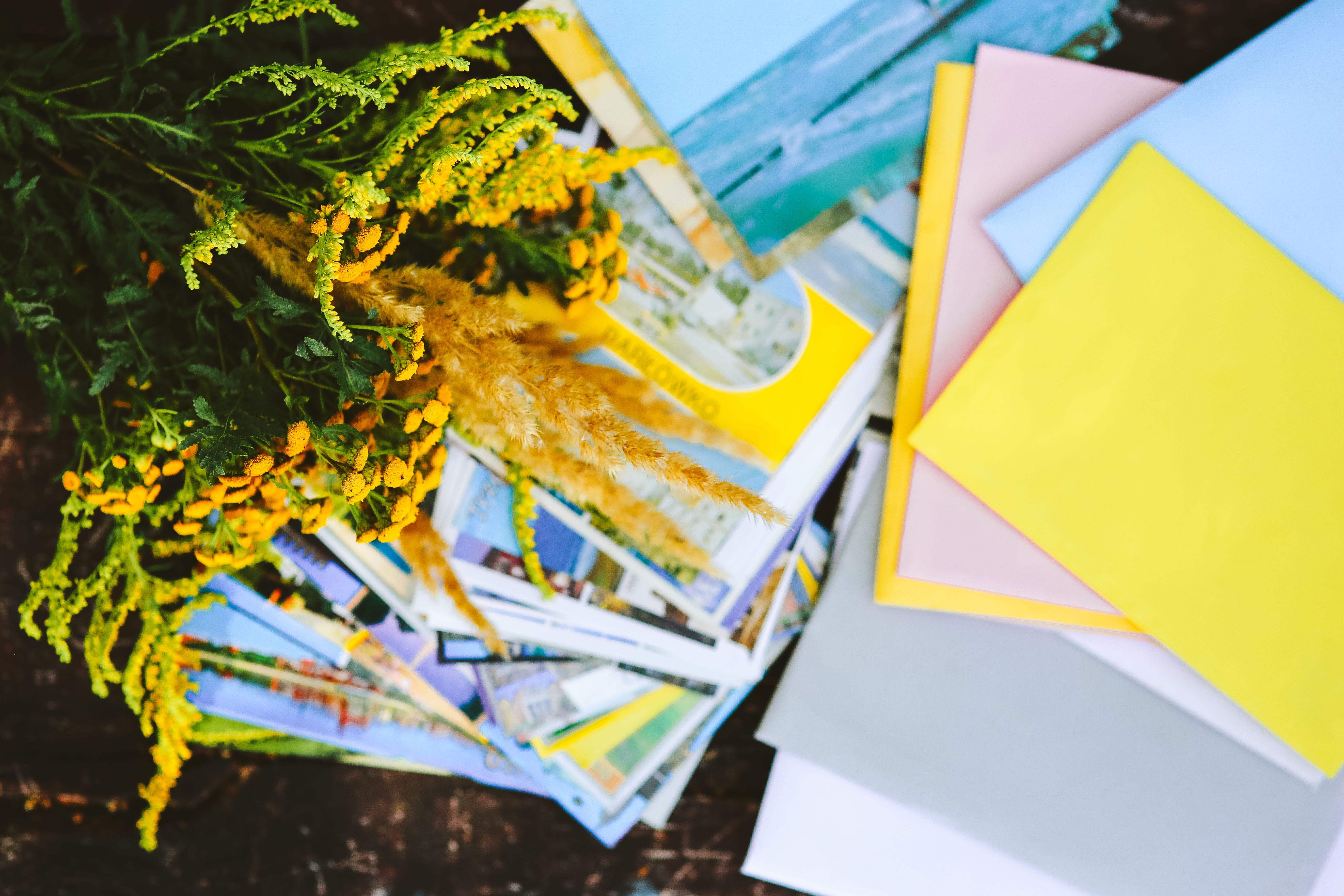 paper, wooden floor, building exterior, 5K, bouquet, close-up, wooden, birthday card, water, city, floor, focus on foreground, flowers, multi Colored, HD Wallpaper