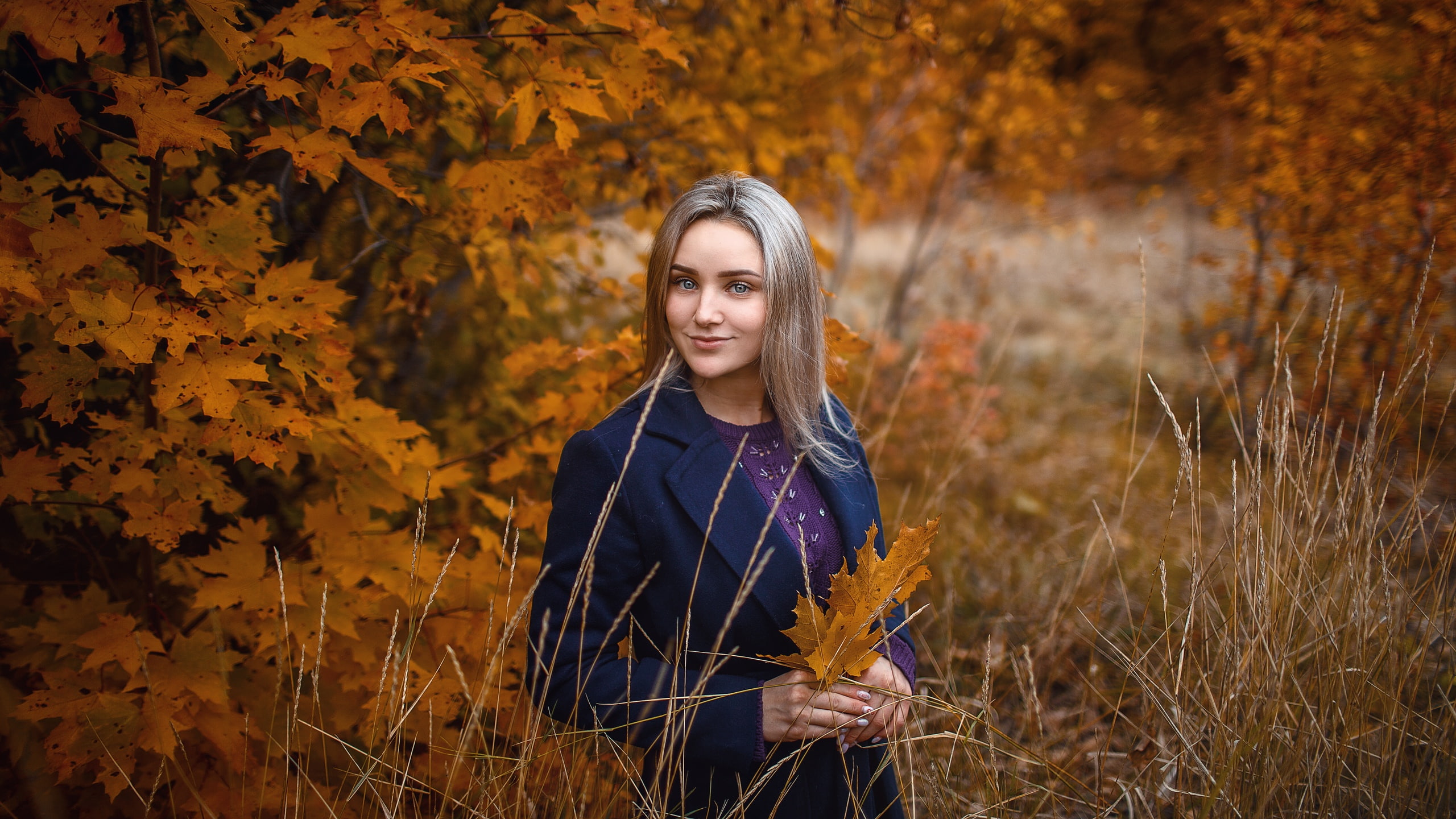 beautiful woman, women, bokeh, forest, tree, leaf, young women, front view, beauty, land, fall, change, blue coat, nature, blonde, leaves, young adult, HD Wallpaper