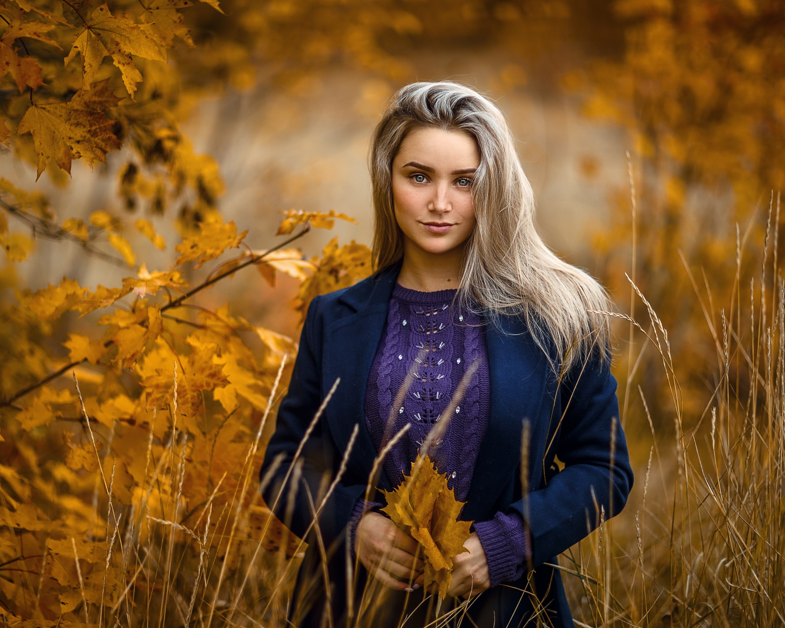 blonde, coats, sweater, branch, women outdoors, Sergey Sorokin, looking at viewer, portrait, blue coat, women, fall, 2K, leaves, depth of field, forest, HD Wallpaper