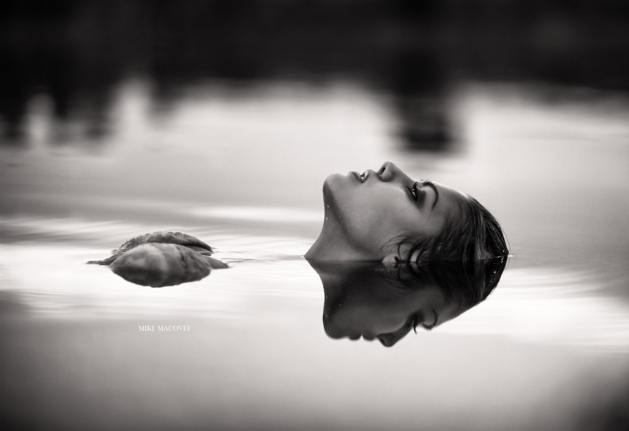 hairstyle, young adult, side view, day, wet hair, headshot, monochrome, 1080P, swimming pool, water, portrait, one animal, reflection, nature, adult, one person, HD Wallpaper