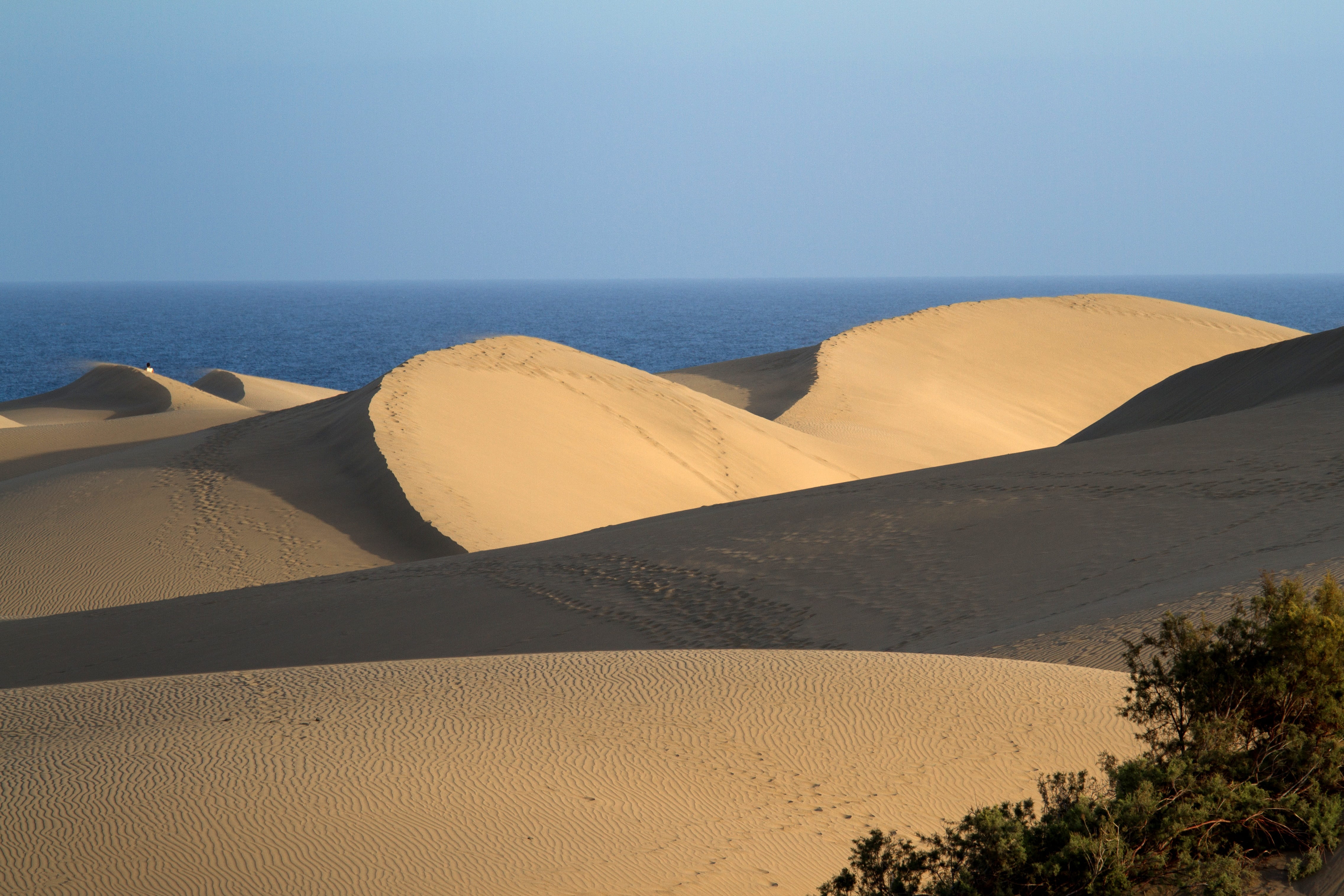 climate, sky, tranquil scene, sea, landscape, maspalomas, travel, Sand Dunes, clear sky, spain, day, gran canaria, desert, travel destinations, land, arid climate, HD Wallpaper