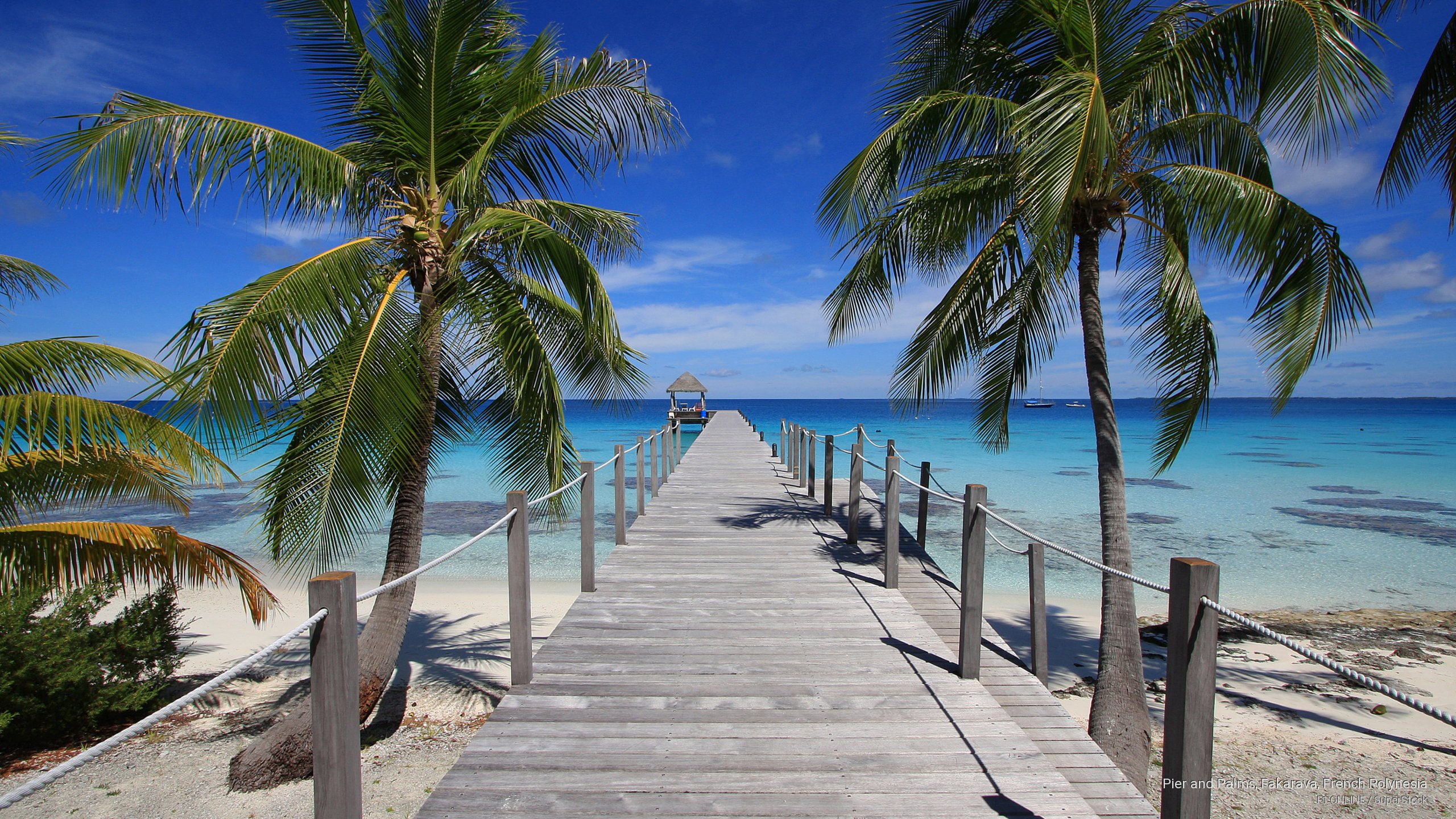 fakarava, polynesia, french, palms, pier, 2K, Islands, HD Wallpaper