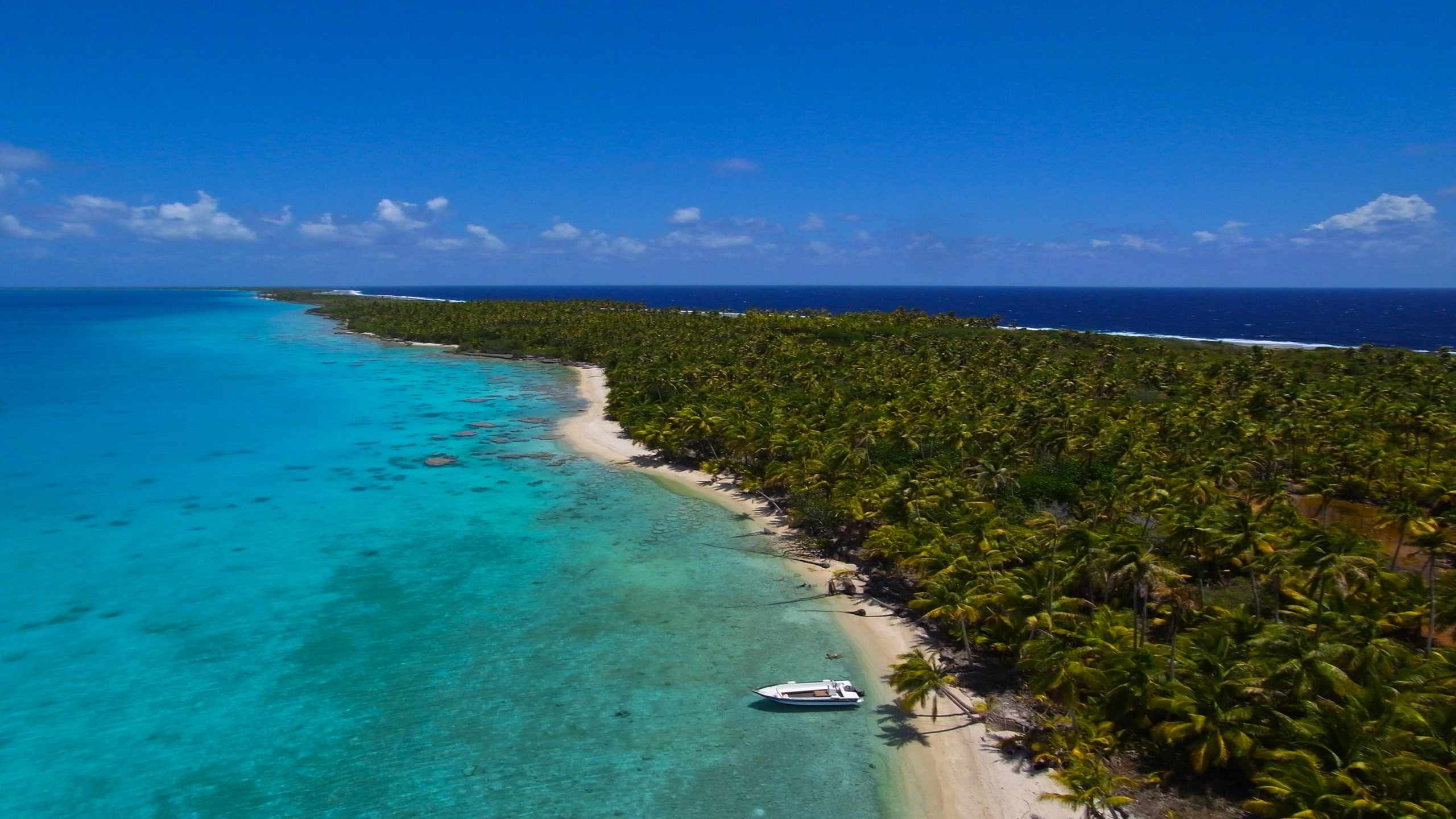 view, fakarava, 2K, HD Wallpaper