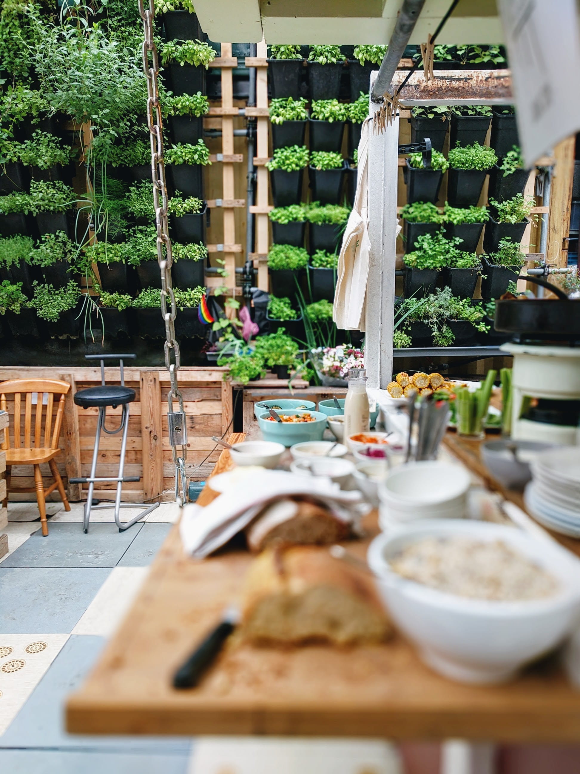empty, bowl, plant, freshness, kitchen, day, wood - material, outdoors, design, chair, herbs, green, eating, top, potted plant, brunch, arrangement, in a row, Phone HD Wallpaper
