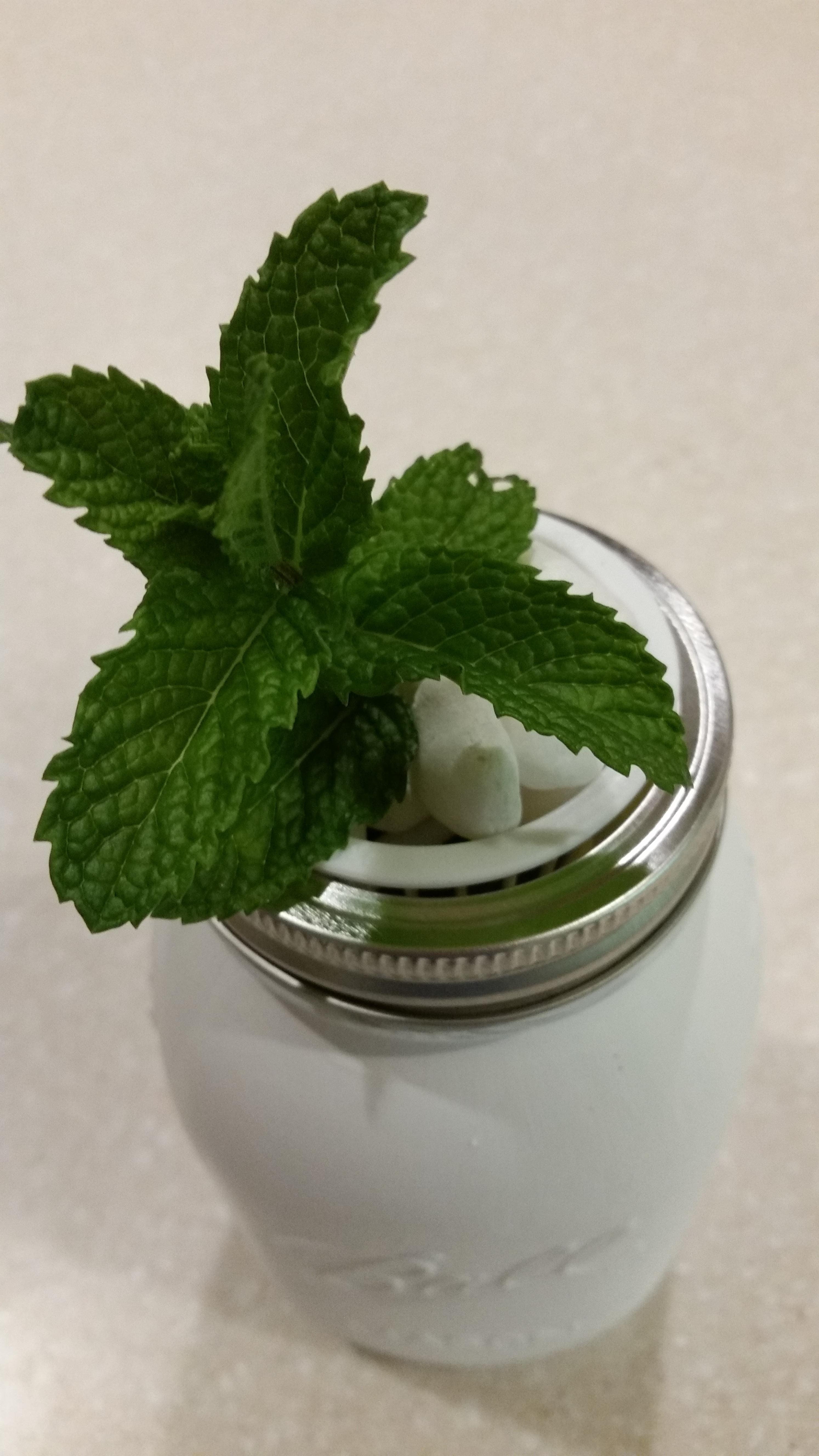 temptation, mason jar herbs, leaves, table, herb, freshness, no people, food and drink, mason jar hydroponics, leaf, garnish, wellbeing, yogurt, 5K, Mason Jar, Phone HD Wallpaper