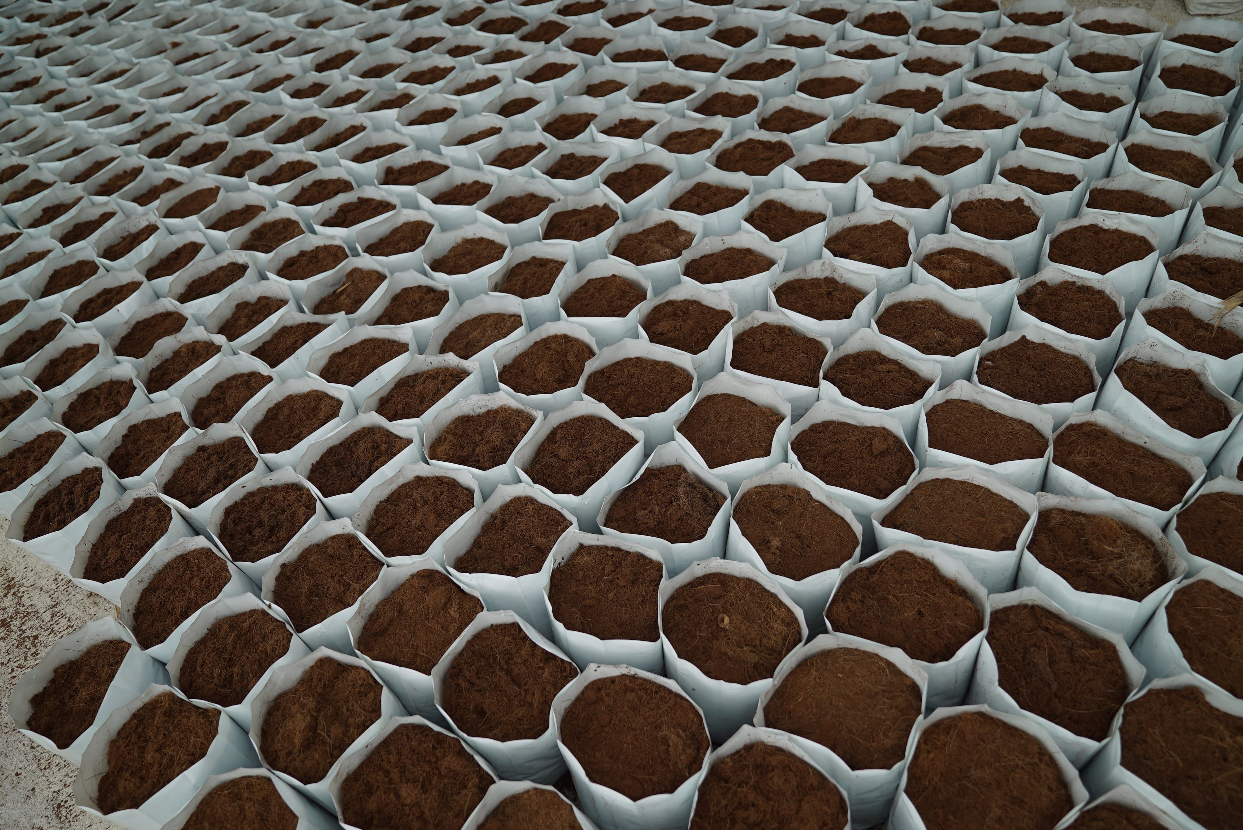 fiber planting material, arrangement, shape, in a row, tiled floor, abundance, large group of objects, potting material, indoors, full frame, soilless medium, HD Wallpaper