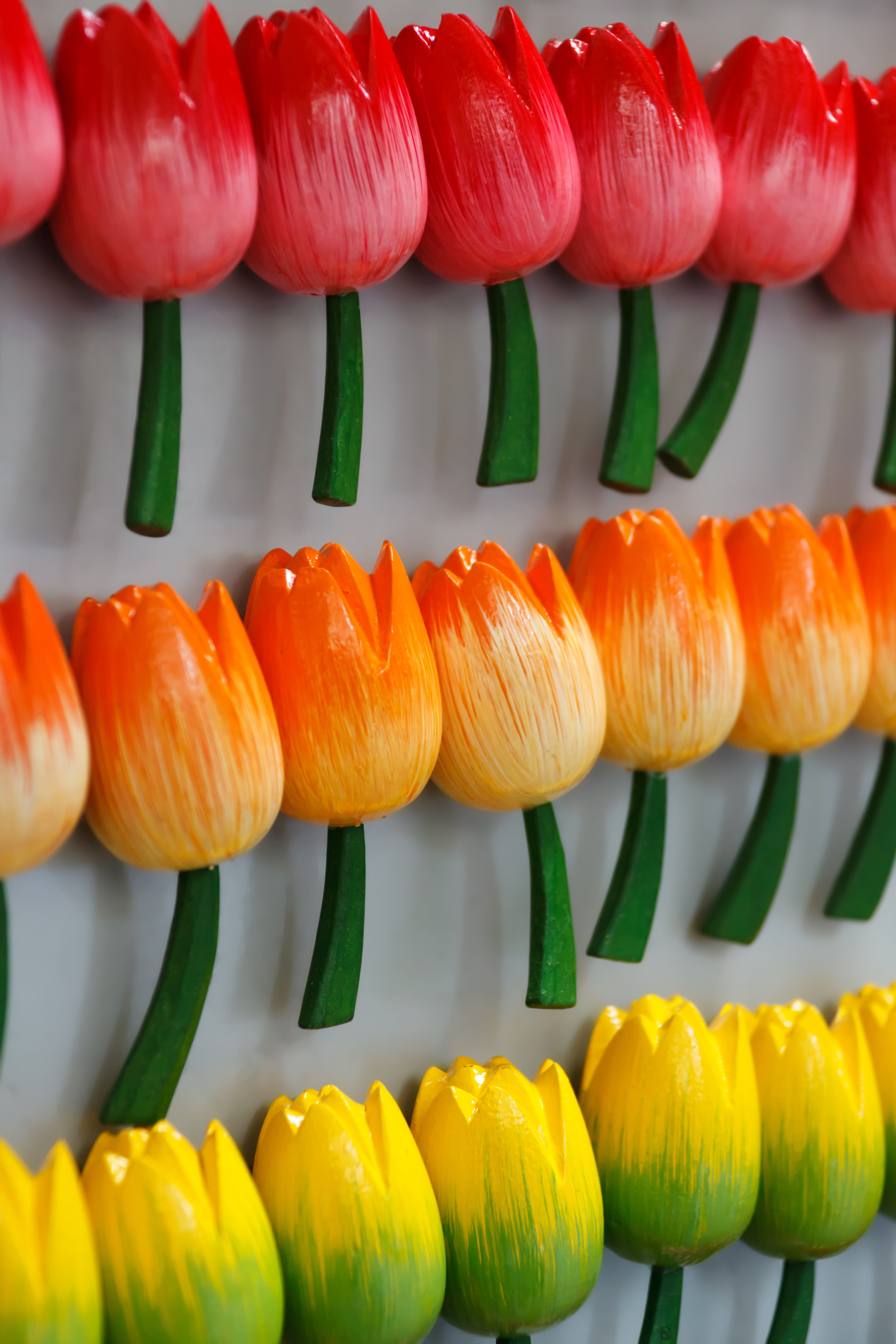 shape, 5K, magnetic, wellbeing, no people, flowers, healthy eating, tulips, magnets, fridge, magnet, large group of objects, red, green color, pepper, Phone HD Wallpaper