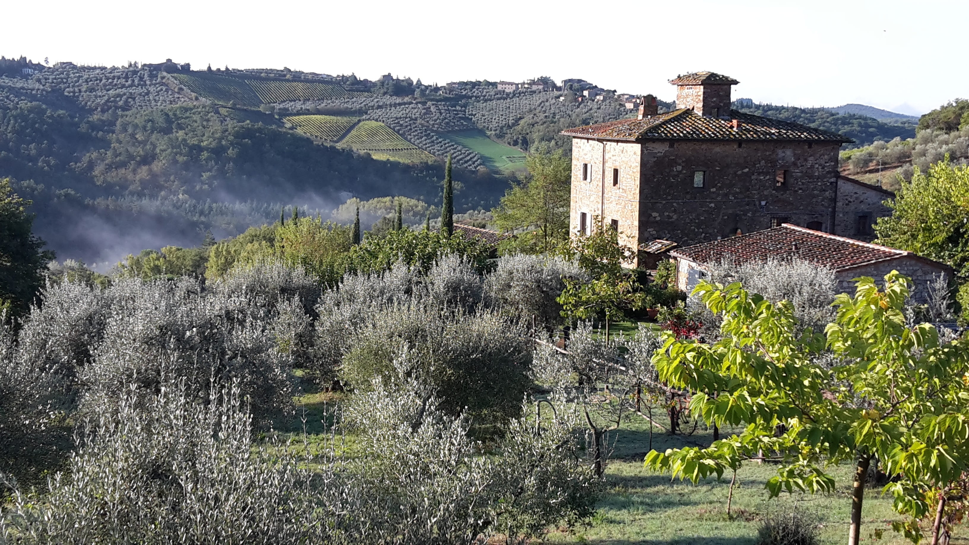 agriculture, architecture, outdoors, hills, 2K, vineyard, nature, middle ages, home, landscape, old, tree, rest, italy, growth, panorama, history, residential district, HD Wallpaper