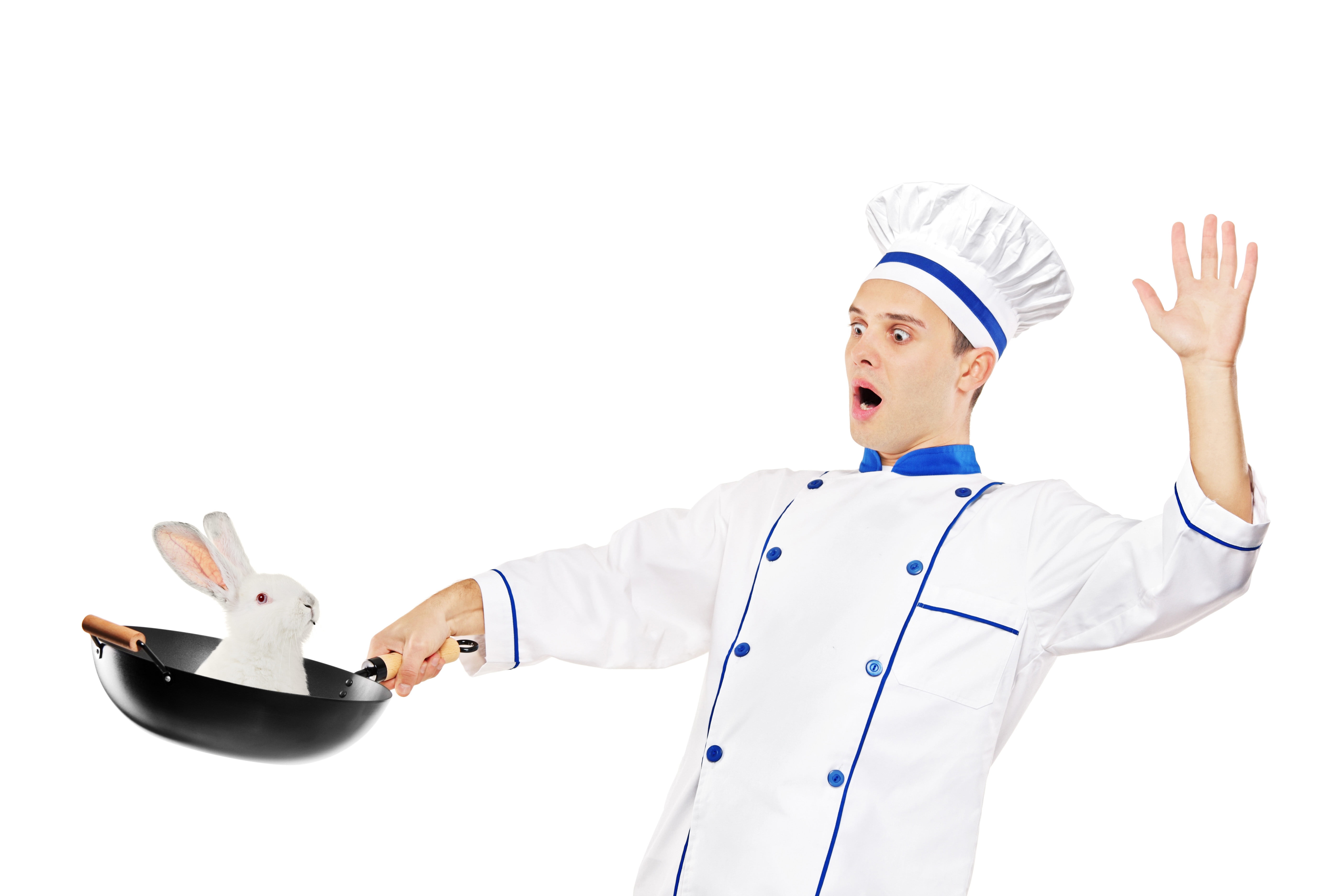 uniform, front view, young Adult, hat, chef, meal, service, one Person, preparing Food, food Service Occupation, cut out, copy space, standing, happiness, HD Wallpaper