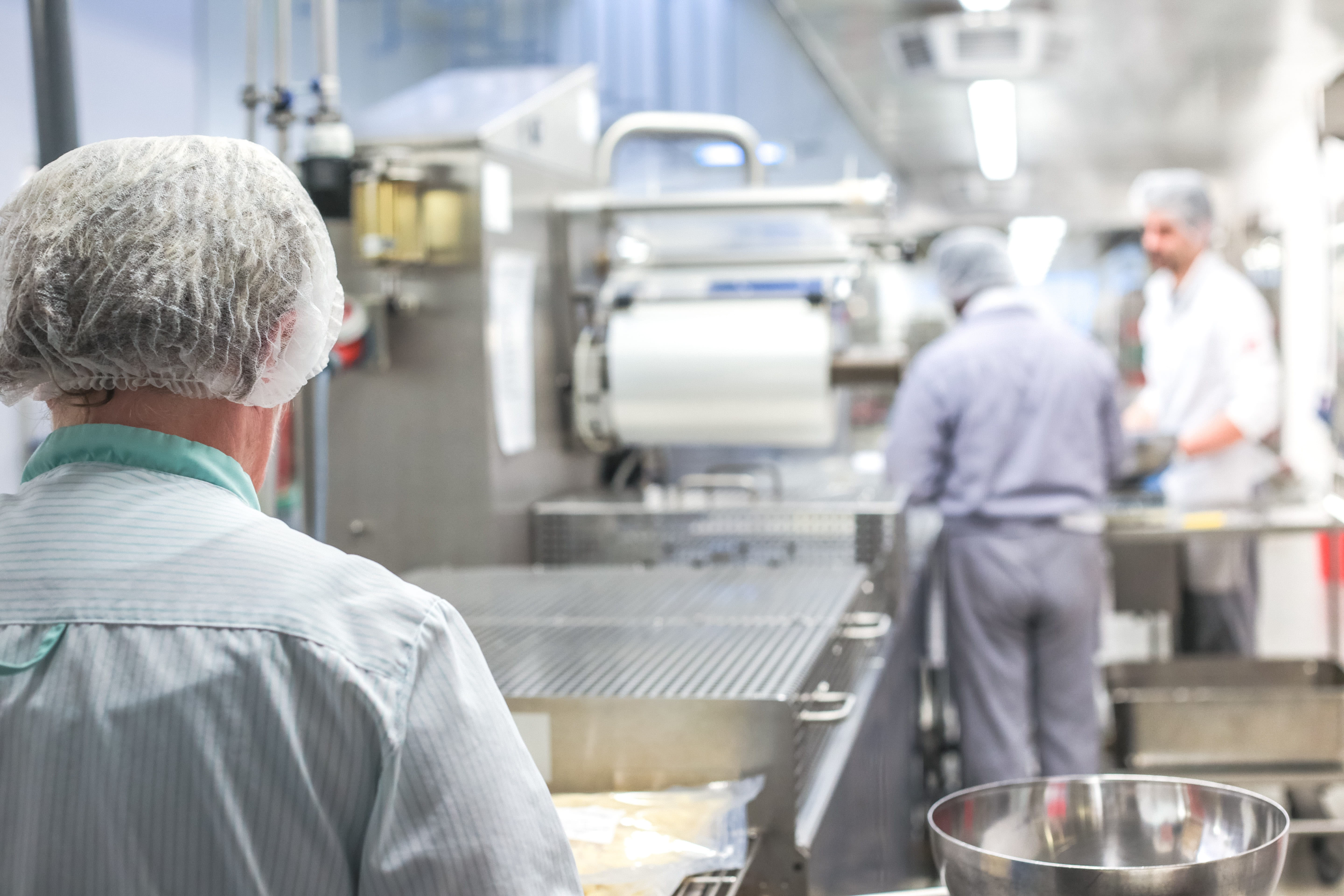 industry, large kitchen, rear view, indoors, women, group of people, protective workwear, adult, preparation, 5K, quality control, catering, working, meals, HD Wallpaper