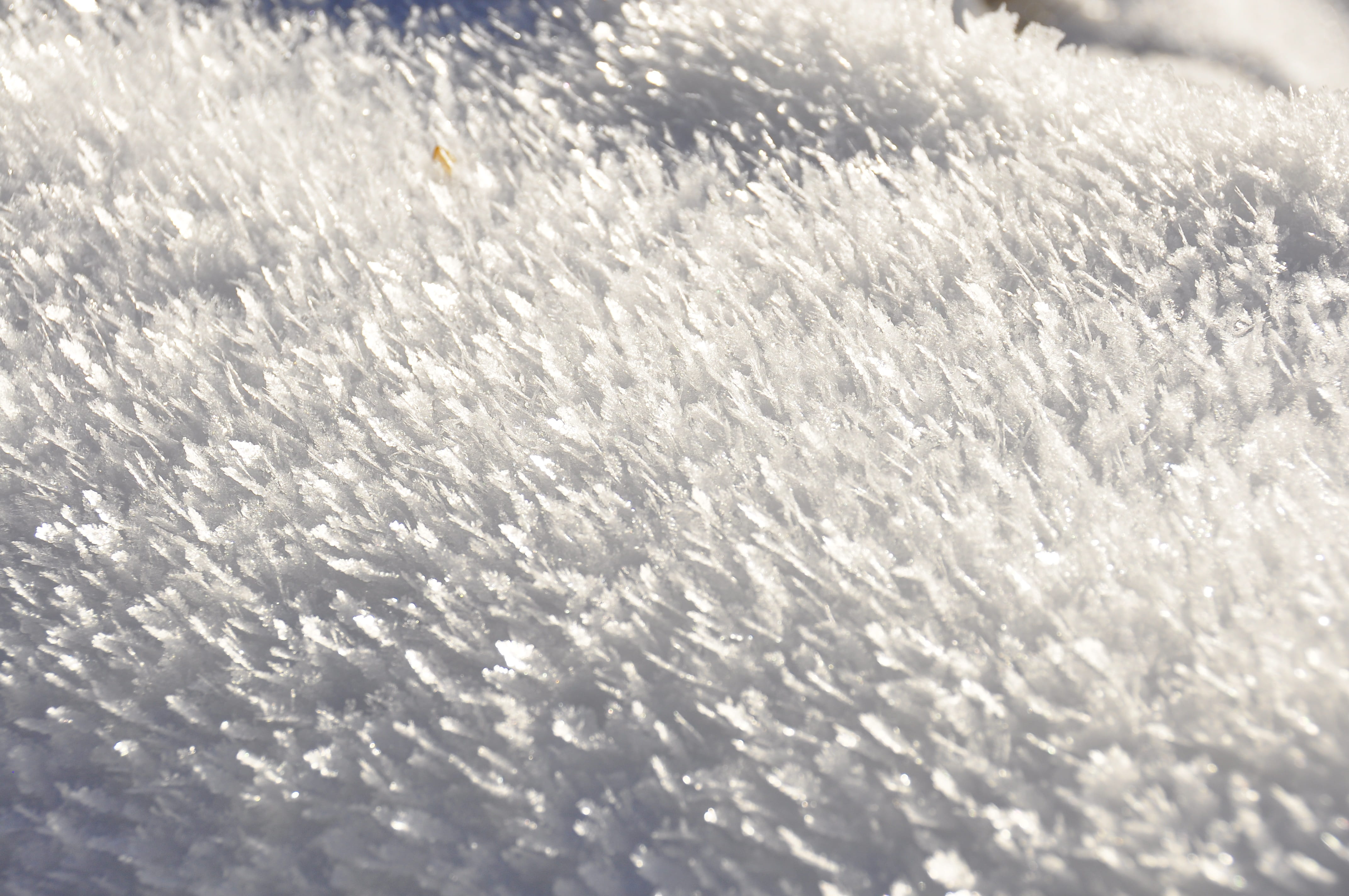white, selective focus, Frost, backgrounds, hard rime, white color, frozen, 4K, nature, cold, full frame, macro, indoors, textured, biel, pattern, zers, HD Wallpaper