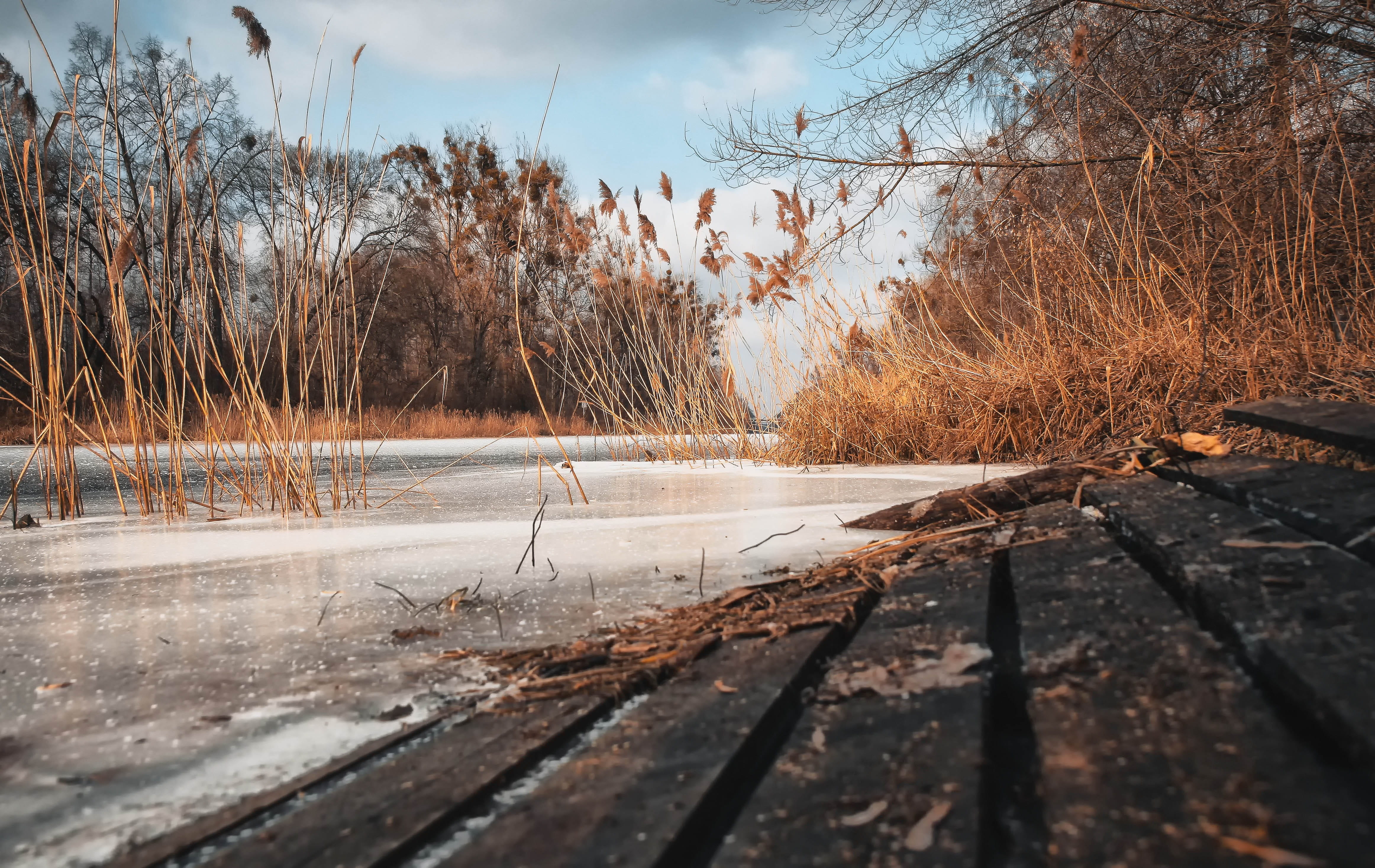 spacer, weather, floe, tranquility, seasons of the year, bare tree, monolithic part of the waters, sky, winter landscape, beauty in nature, lake, zers, HD Wallpaper