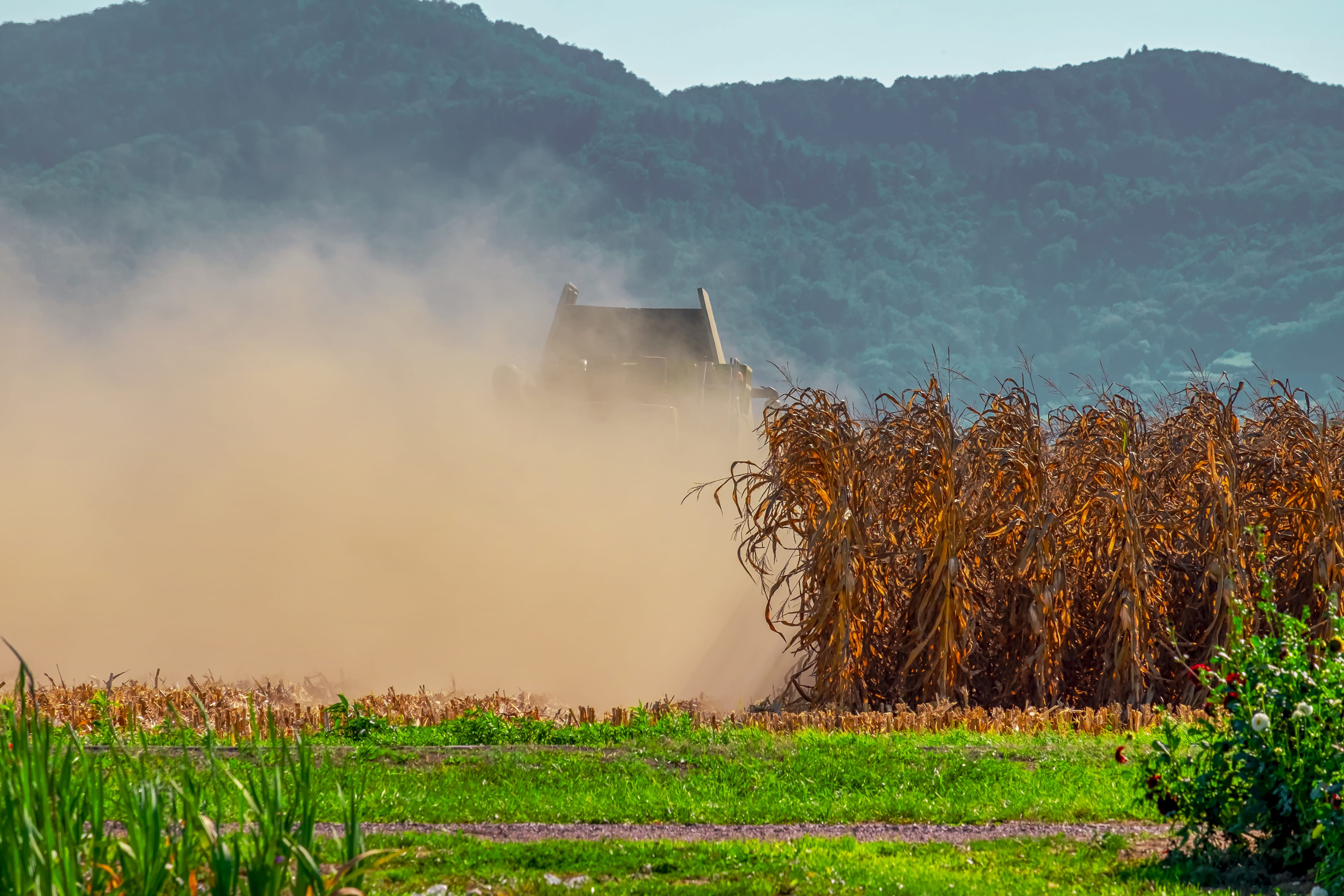 mountain, land, nature, plant, combine harvester, cornfield, tranquility, growth, environment, sky, agriculture, fieldwork, no people, rural, drought, 4K, HD Wallpaper