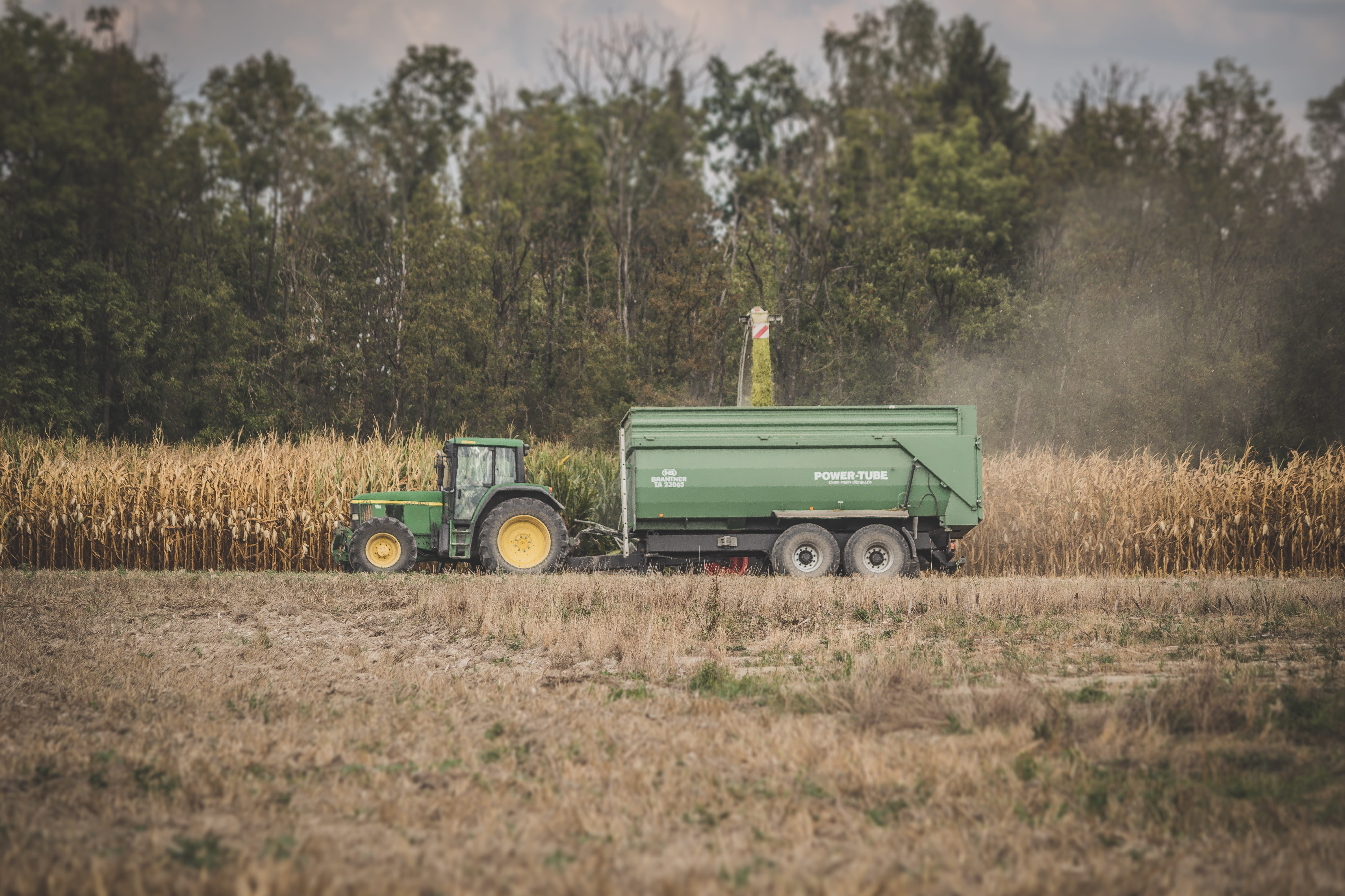 field, corn harvest, land, day, commercial vehicle, nature, loader wagons, transportation, tractor, fields, tree, fieldwork, transport, agriculture, agricultural equipment, HD Wallpaper
