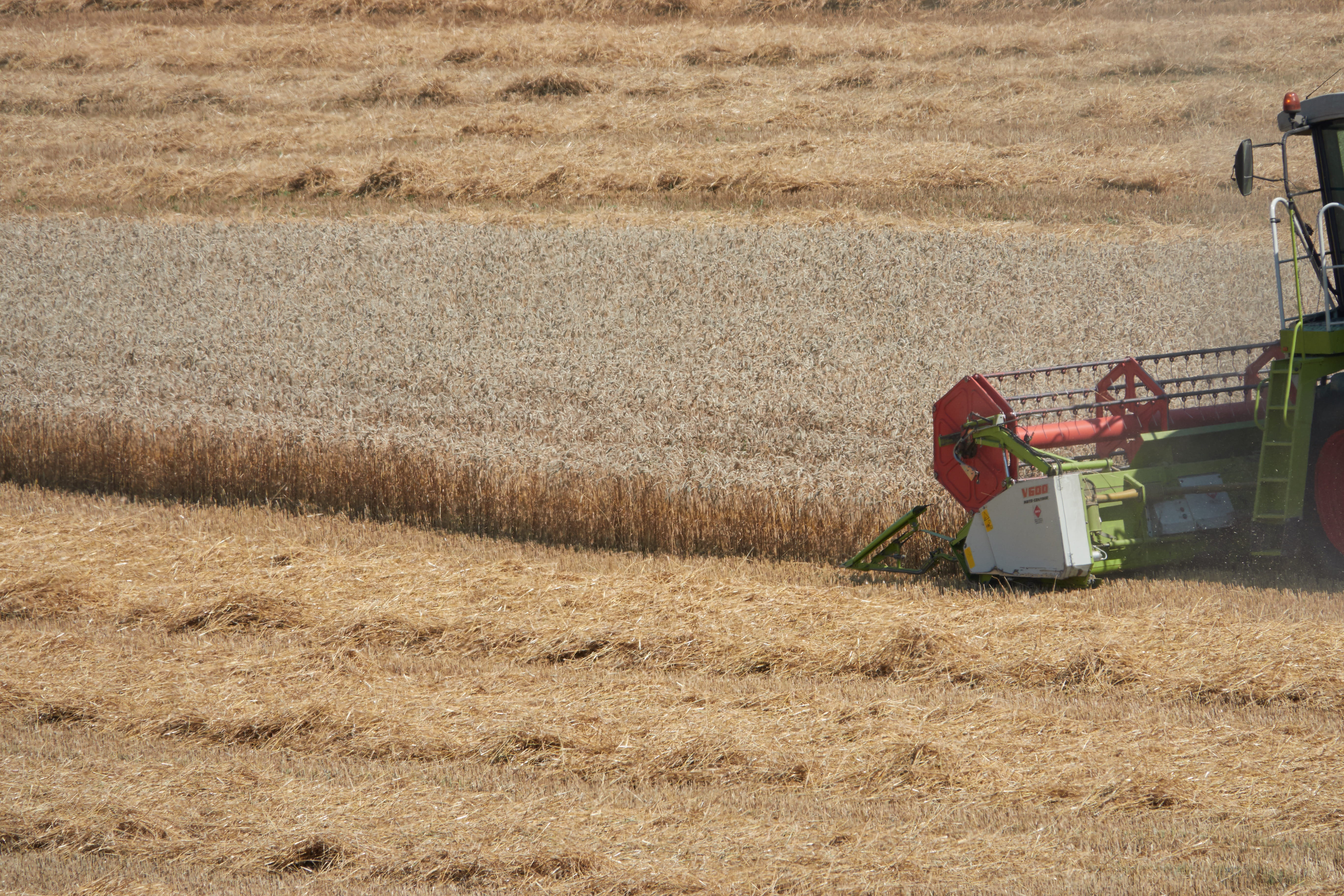 day, 5K, growth, farm, agricultural machine, landscape, agricultural equipment, rural, machinery, outdoors, no people, combine harvester, plant, rural scene, HD Wallpaper
