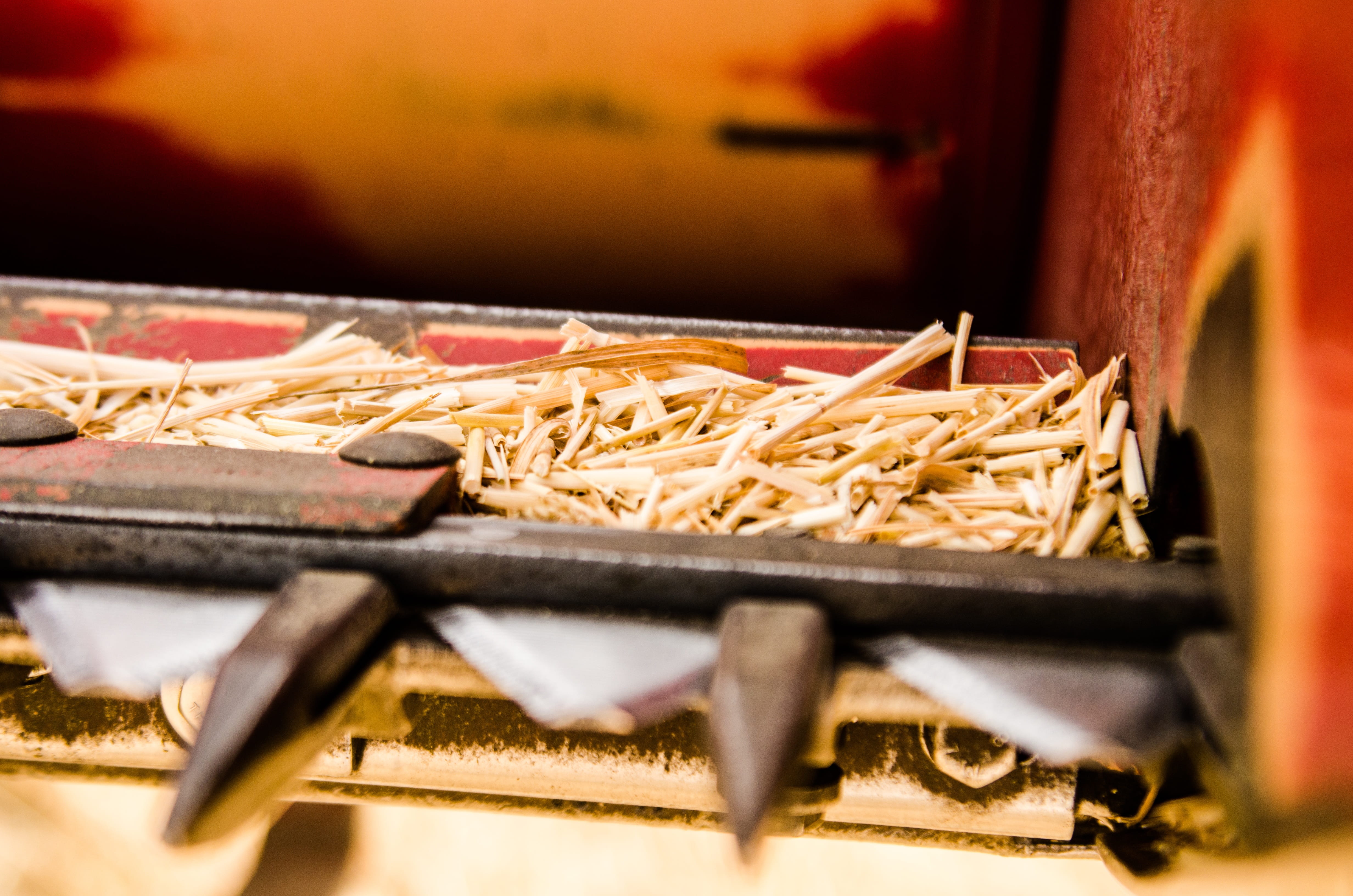 surface level, chopsticks, crops, freshness, 4K, business, food, snack, spaghetti, farming, equipment, close-up, food and drink, pasta, machinery, crop, HD Wallpaper