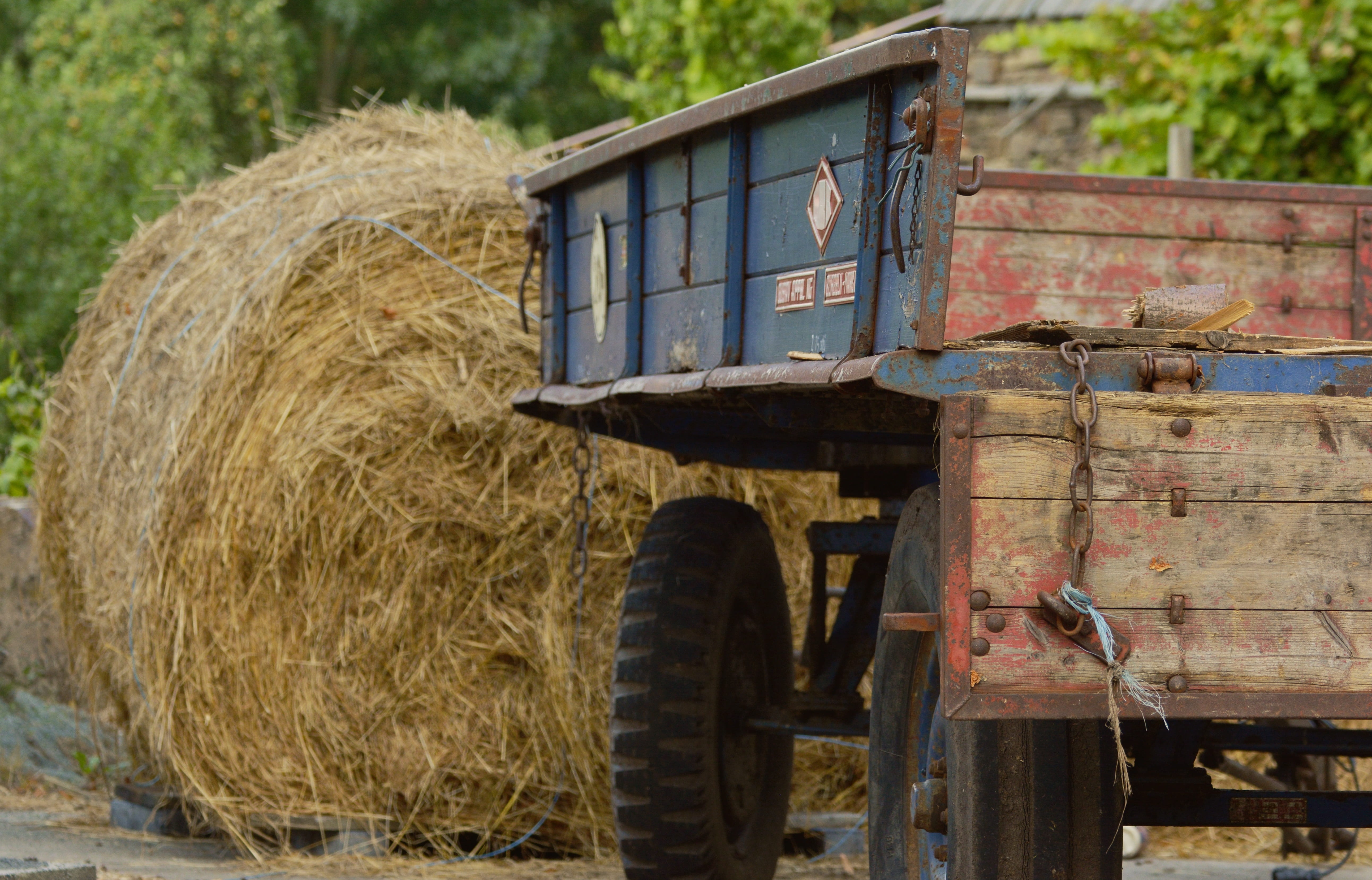 plant, land, blue, tire, trailers, agricultural machinery, mode of transportation, besides, agricultural machine, tractor, land vehicle, nature, hay bales, HD Wallpaper
