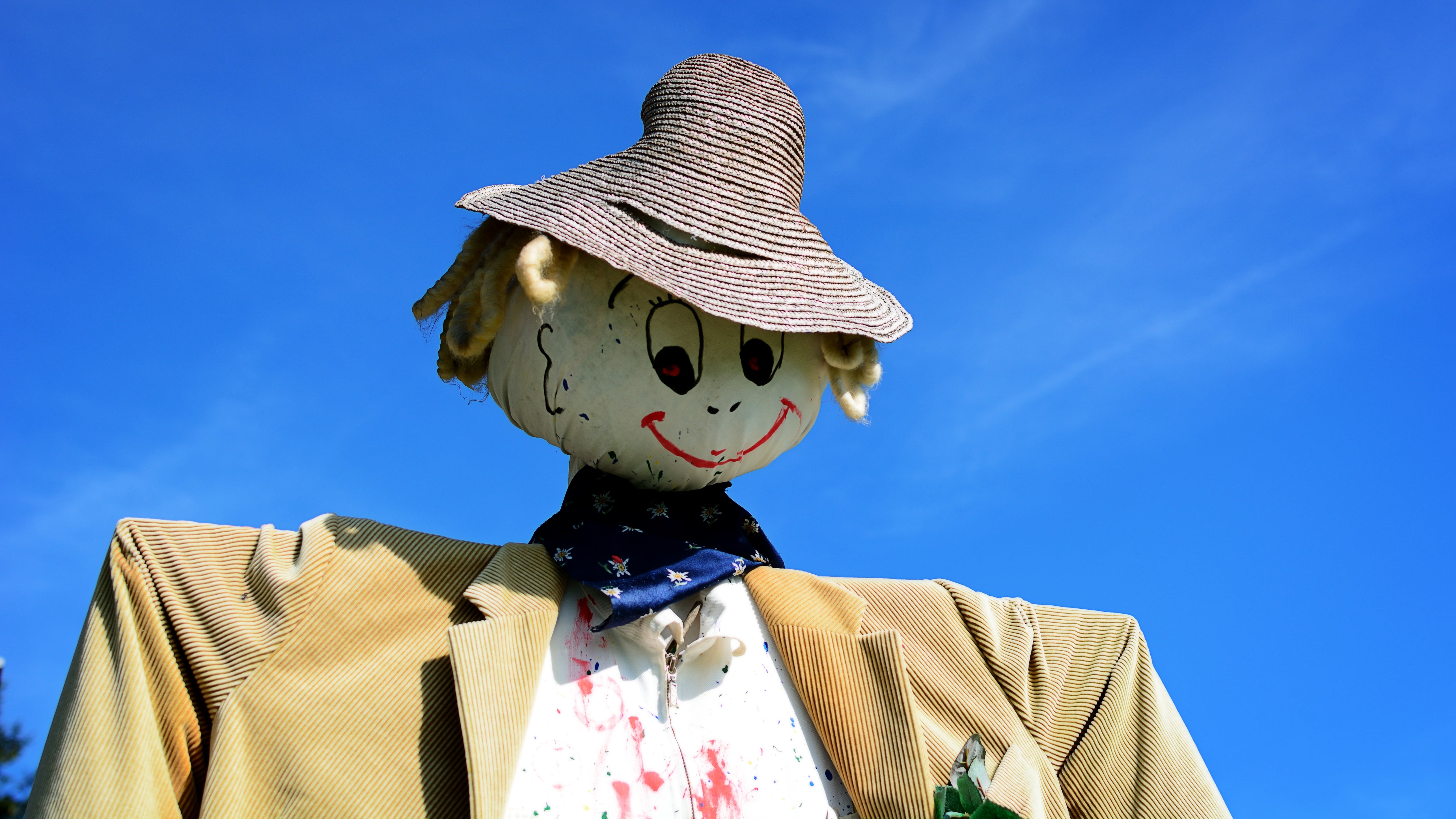 hat, blue, bird control, pests, nature, scarecrow, day, portrait, outdoors, obscured face, field, sky, figure, business, silhouette, adult, unrecognizable person, HD Wallpaper