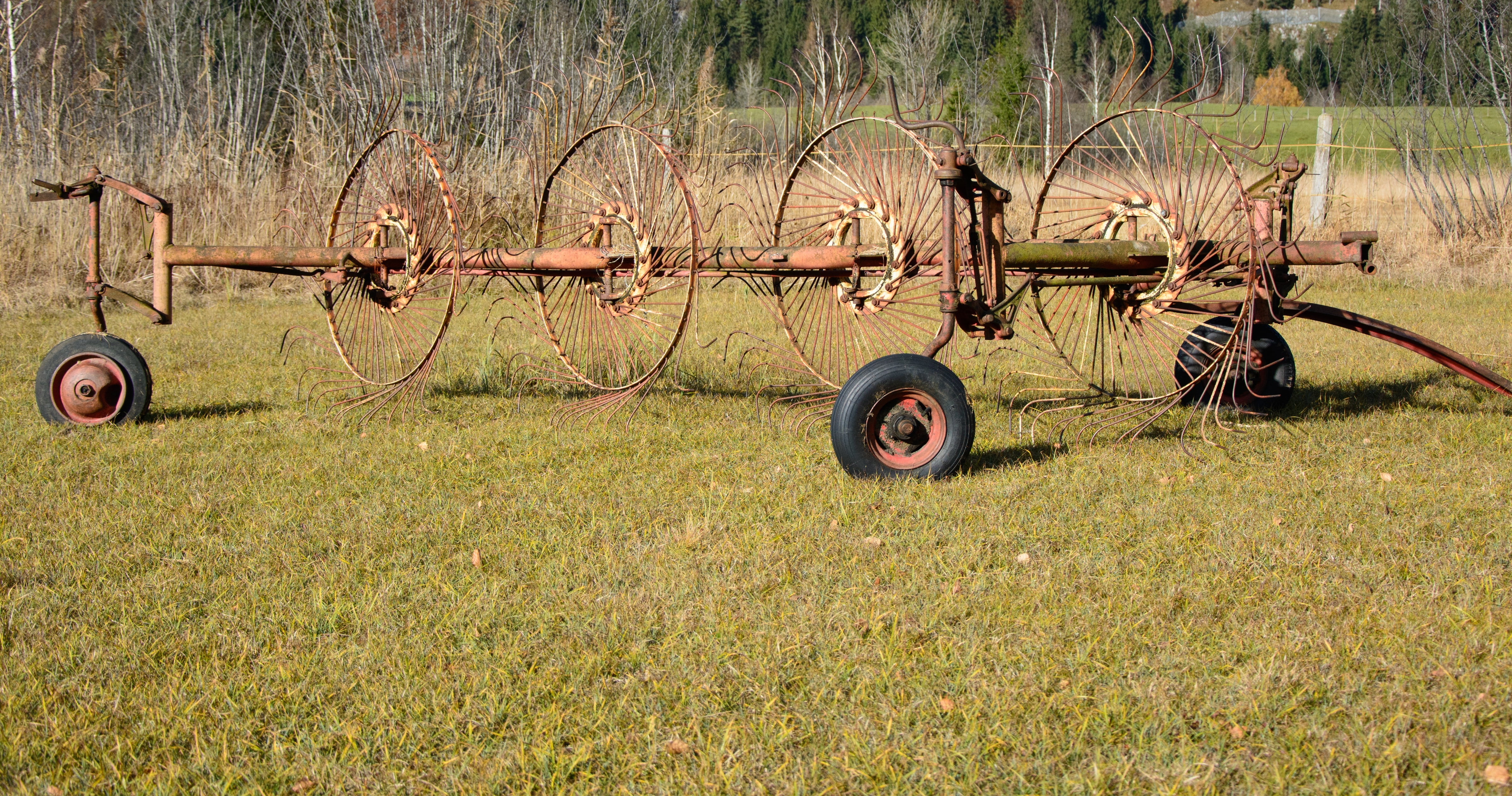machinery, mode of transportation, commercial vehicle, meadow, fieldwork, faceplate, wagon wheel, tree, land vehicle, outdoors, wheel, field, abandoned, HD Wallpaper