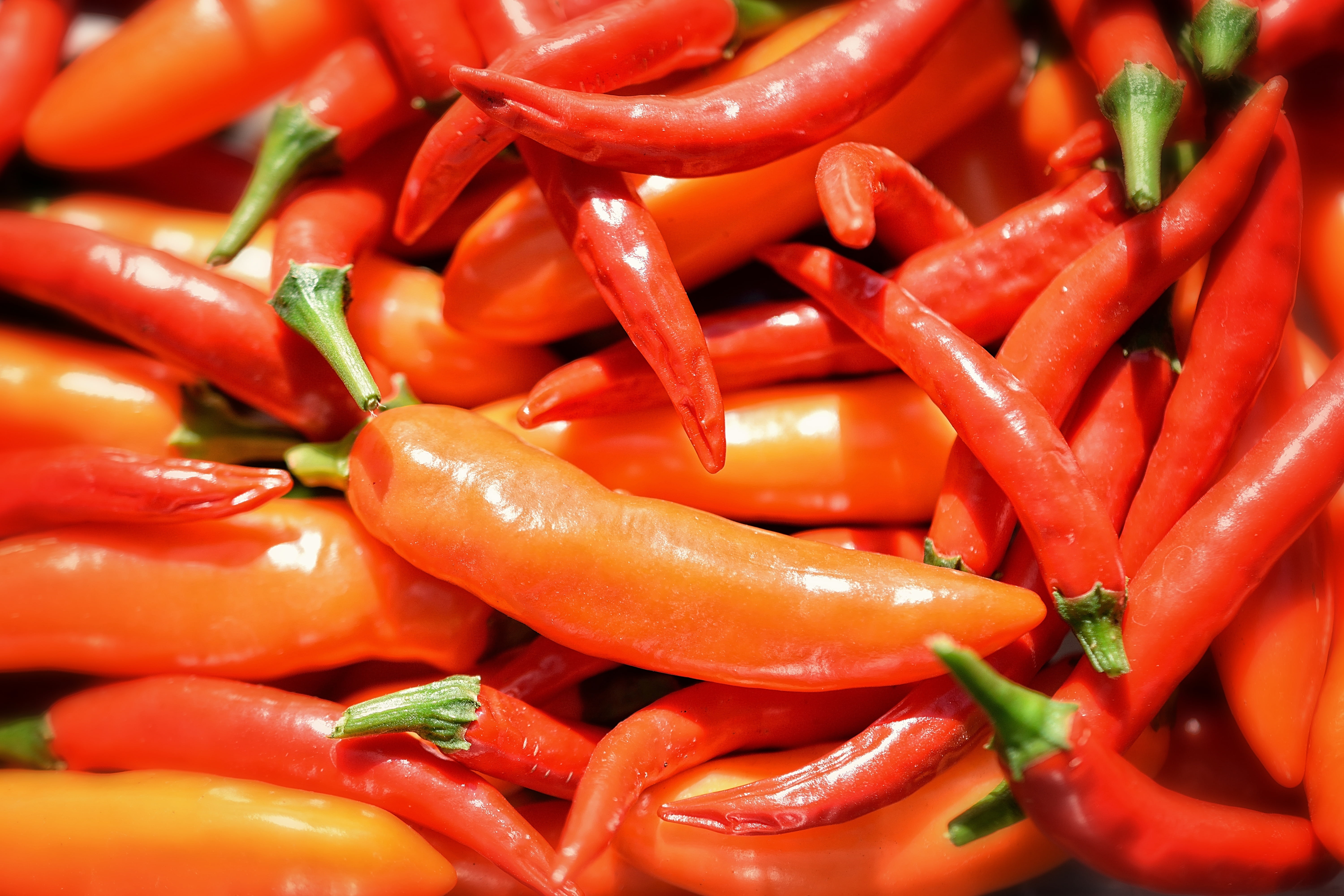 large group of objects, market, organic, cook, vegetables, red chili pepper, chili pepper, healthy eating, backgrounds, pepper, ingredient, abundance, food, HD Wallpaper