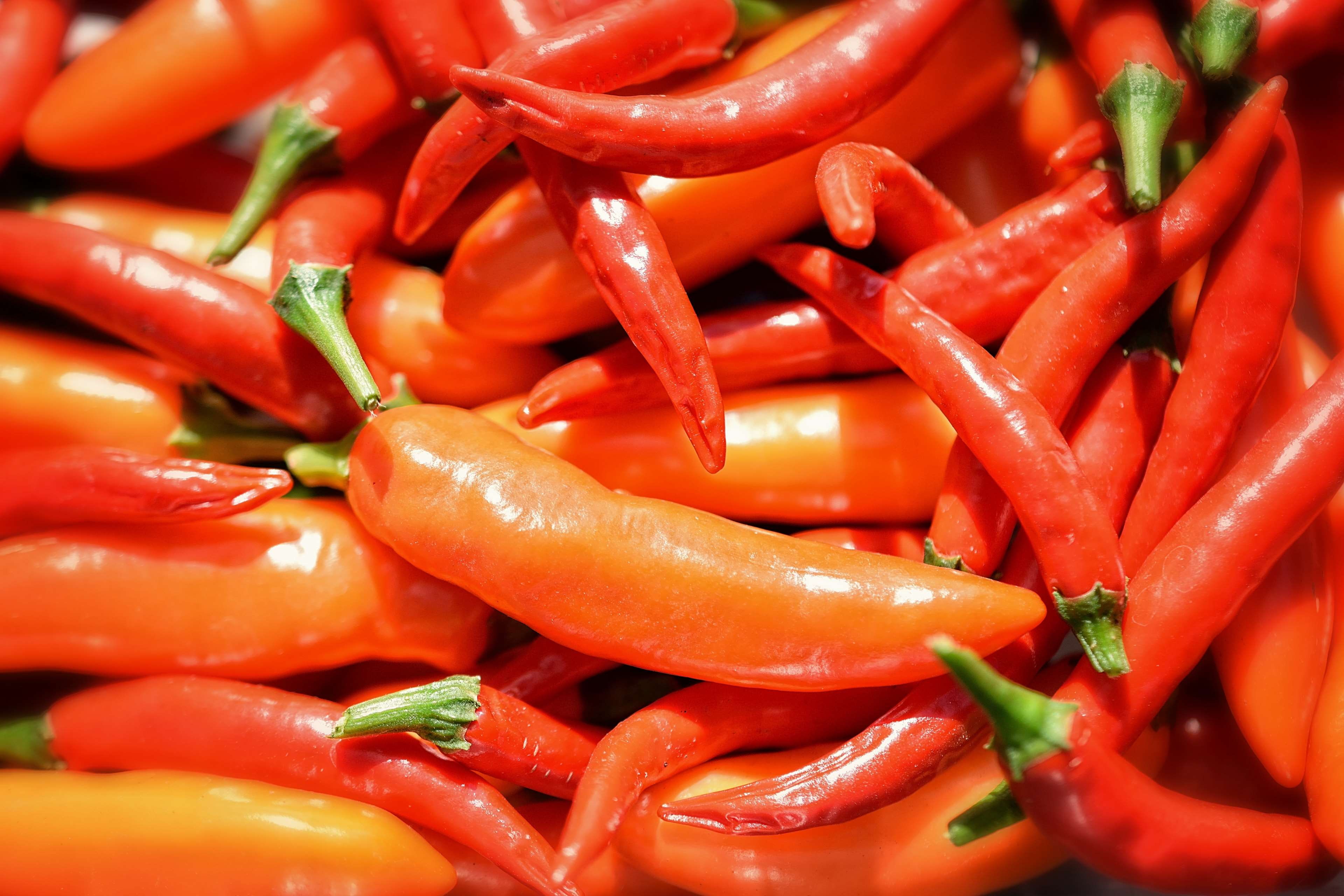 still life, food, vitamins, ingredient, pepper, spice, no people, vegetables, full frame, ripe, vegetable, thai red chilli, freshness, food and drink, serrano chili orange, HD Wallpaper