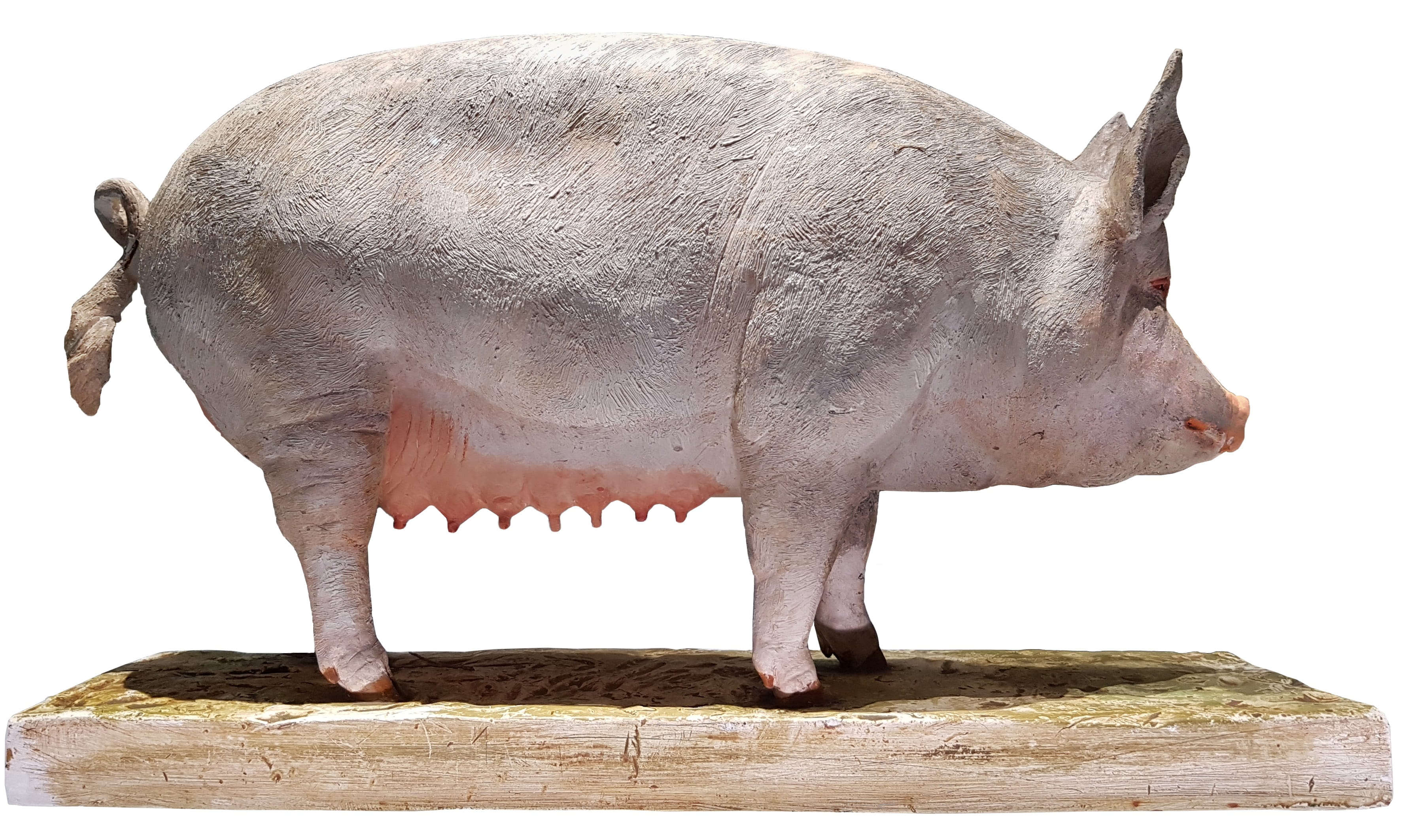 no people, close-up, livestock, 2K, side view, animal representation, agriculture, wood - material, vertebrate, pig, animal themes, sow, animal wildlife, HD Wallpaper