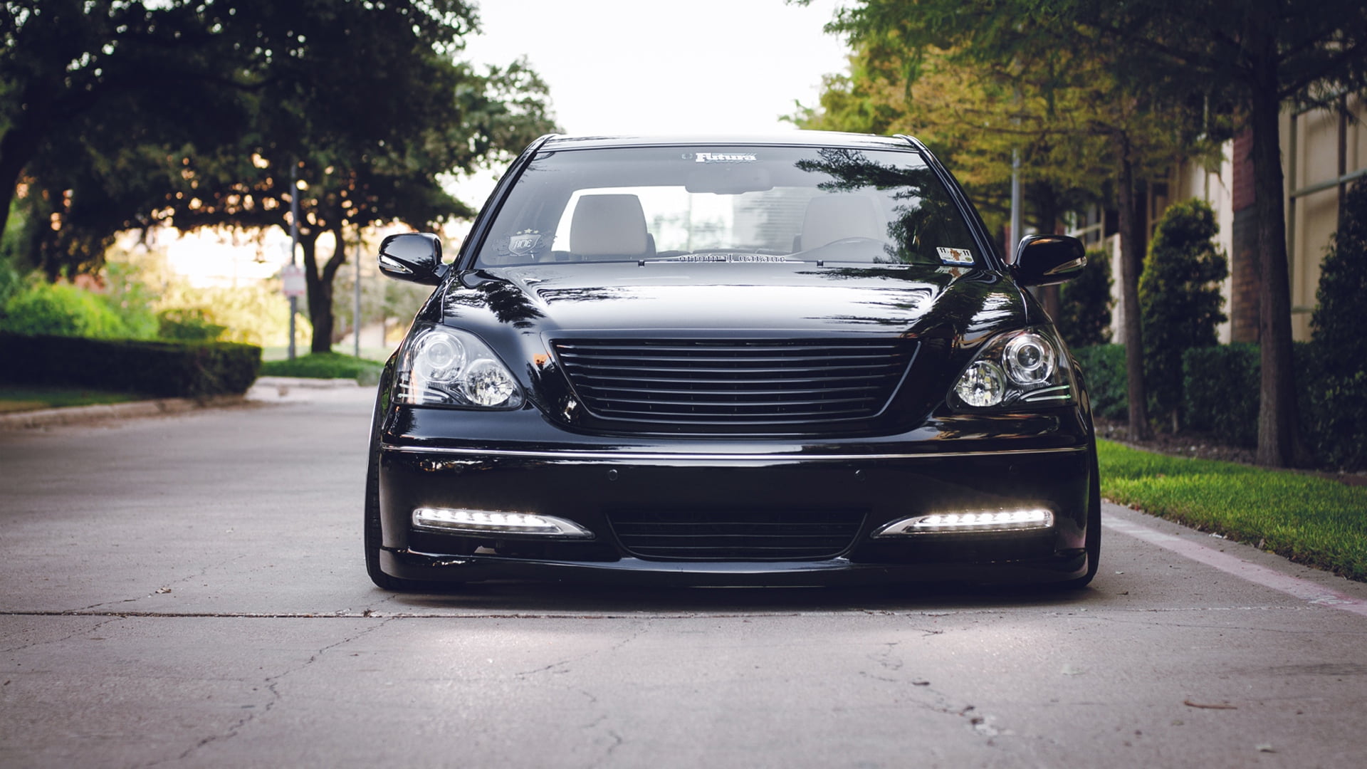 headlight, road, vehicle Door, speed, driving, motor vehicle, stationary, luxury, plant, parking Lot, chrome, mini Cooper, car, front bumper, outdoors, HD Wallpaper
