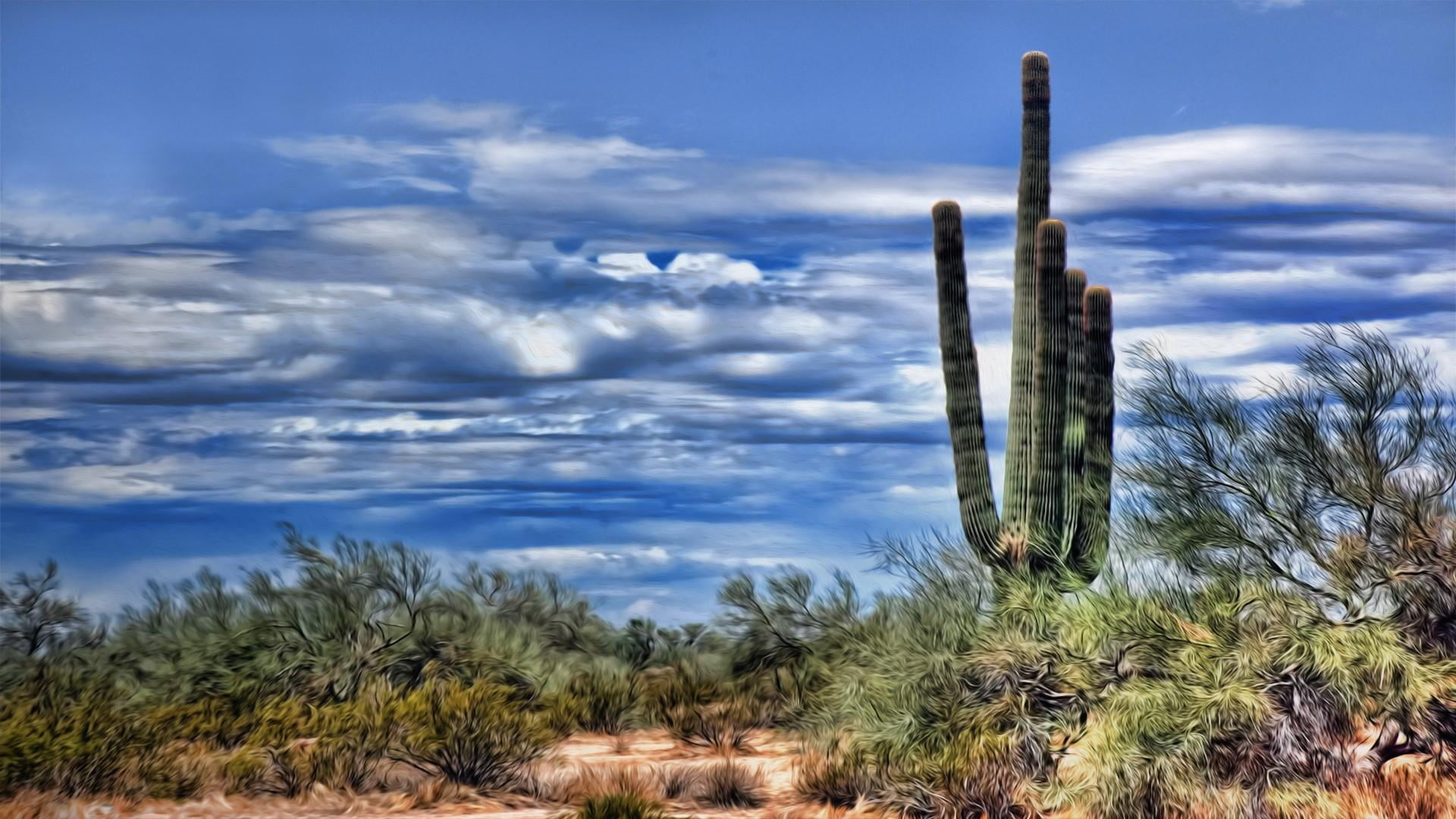 plant, day, ecosystem, semi-arid, desert, environment, scenics - nature, saguaro cactus, tranquility, tranquil scene, landscape, non-urban scene, beauty in nature, HD Wallpaper