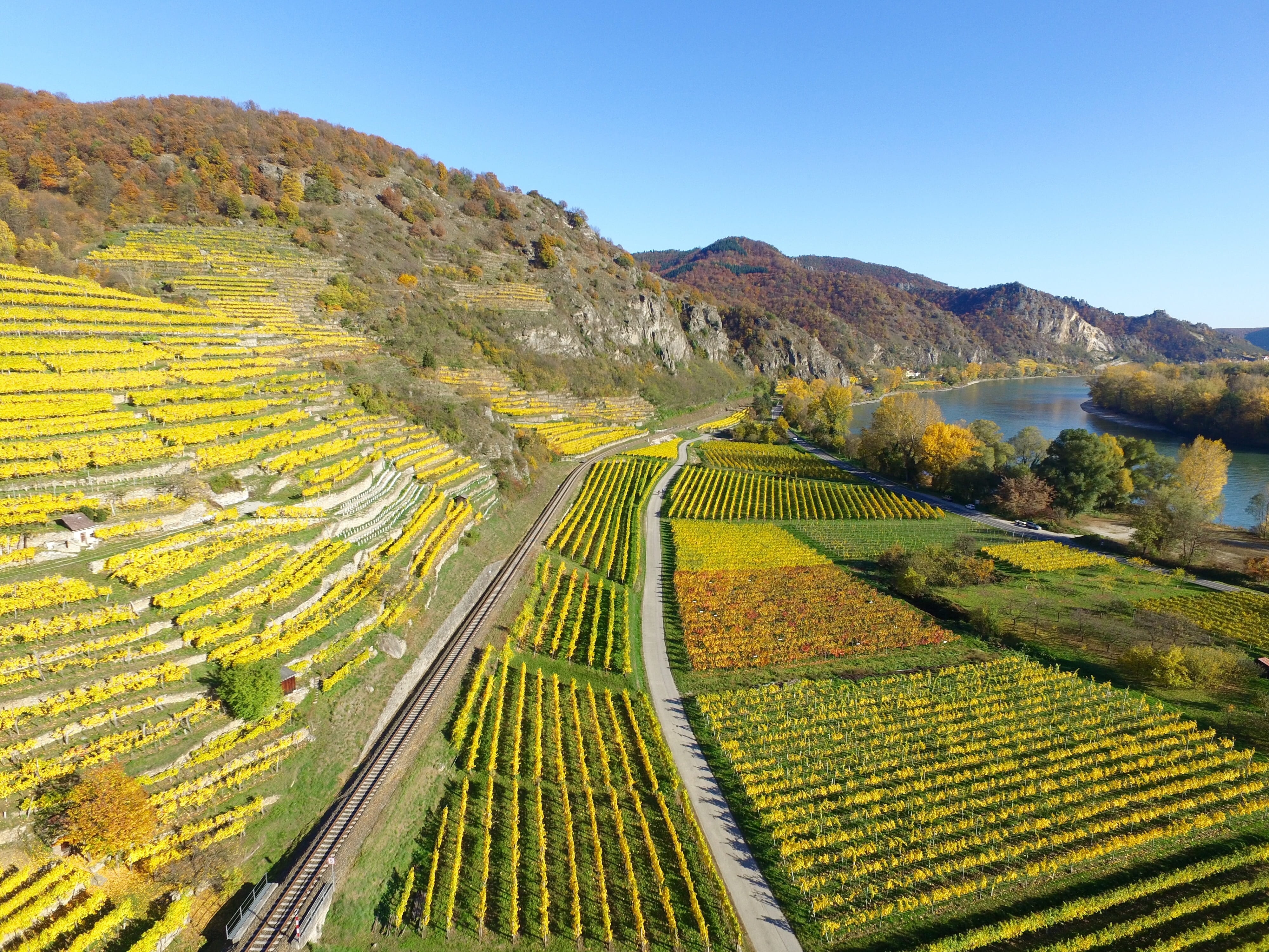 unesco, agricultural, rhine, mountain, landscape, tranquility, scene, photography, farm, day, aerial, germany, scenics - nature, daytime, upper rhine valley, HD Wallpaper
