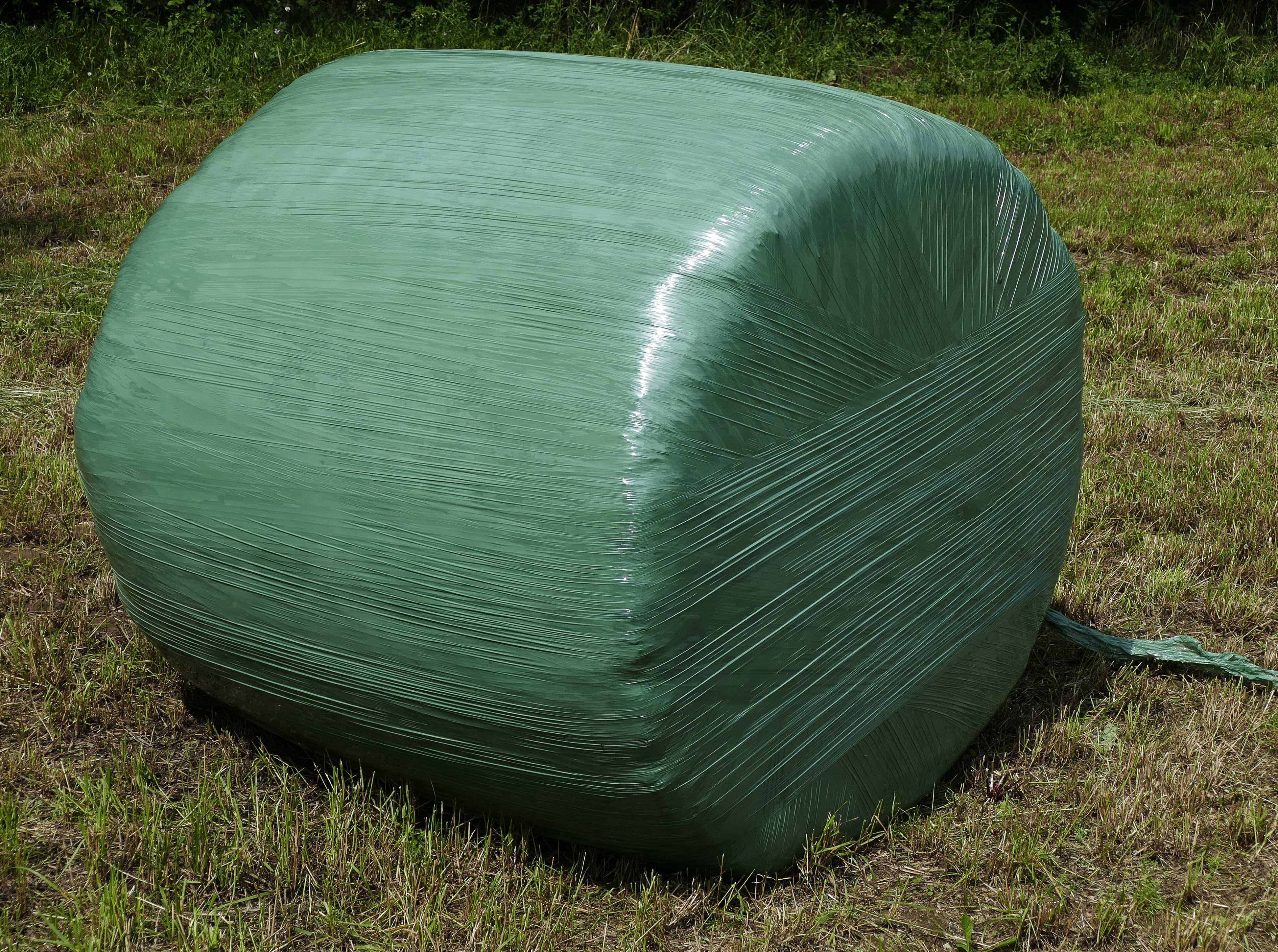 water, beauty in nature, animals, graphically, grass silage, tranquil scene, landscape, wrapped up, field, silage, round bales, 4K, packed, silage preservation, HD Wallpaper