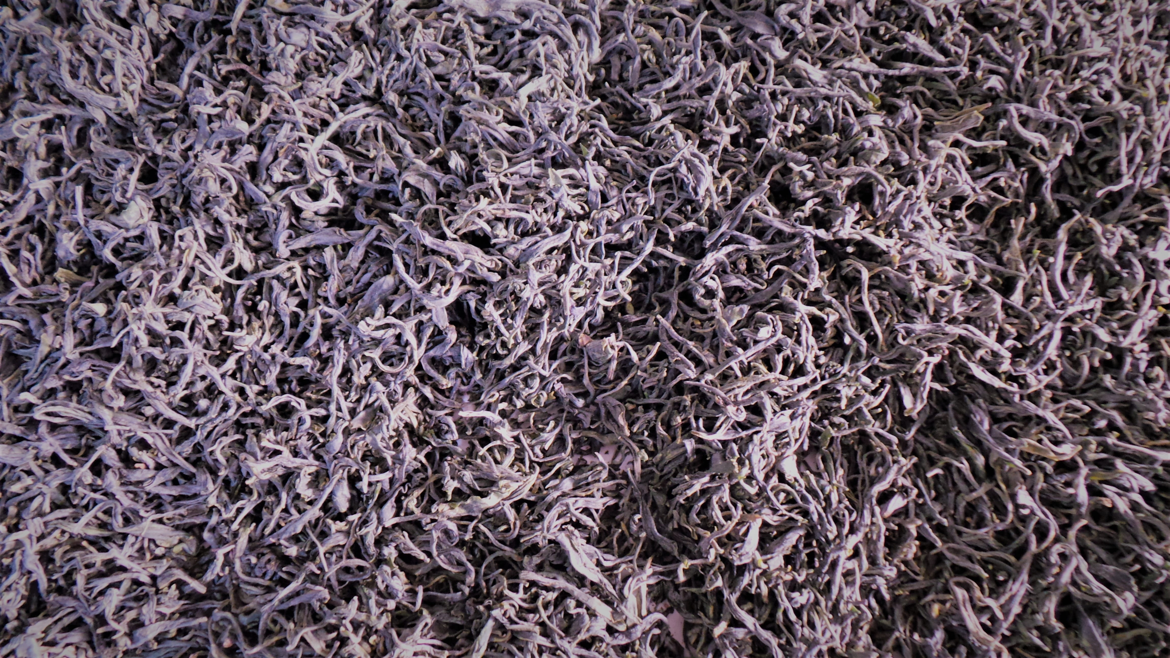 indoors, day, dry, green direction, full frame, large group of objects, no people, nature, purple, textured, abundance, stack, backgrounds, yellow tea making, HD Wallpaper