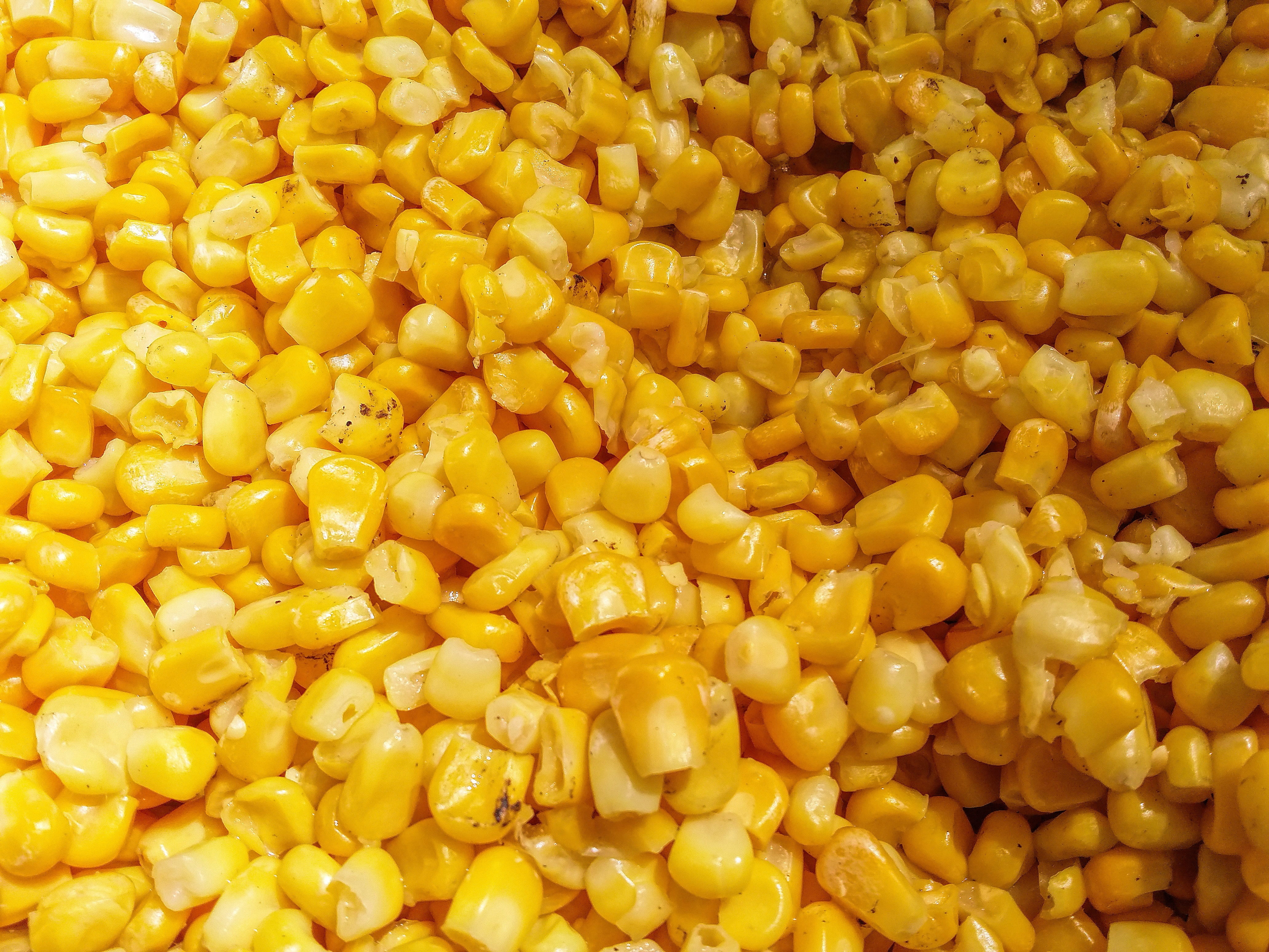 seed, healthy, close-up, indoors, sweetcorn, backgrounds, food, organic, freshness, full frame, vegetarian, corn, heap, still life, snack, orange color, HD Wallpaper